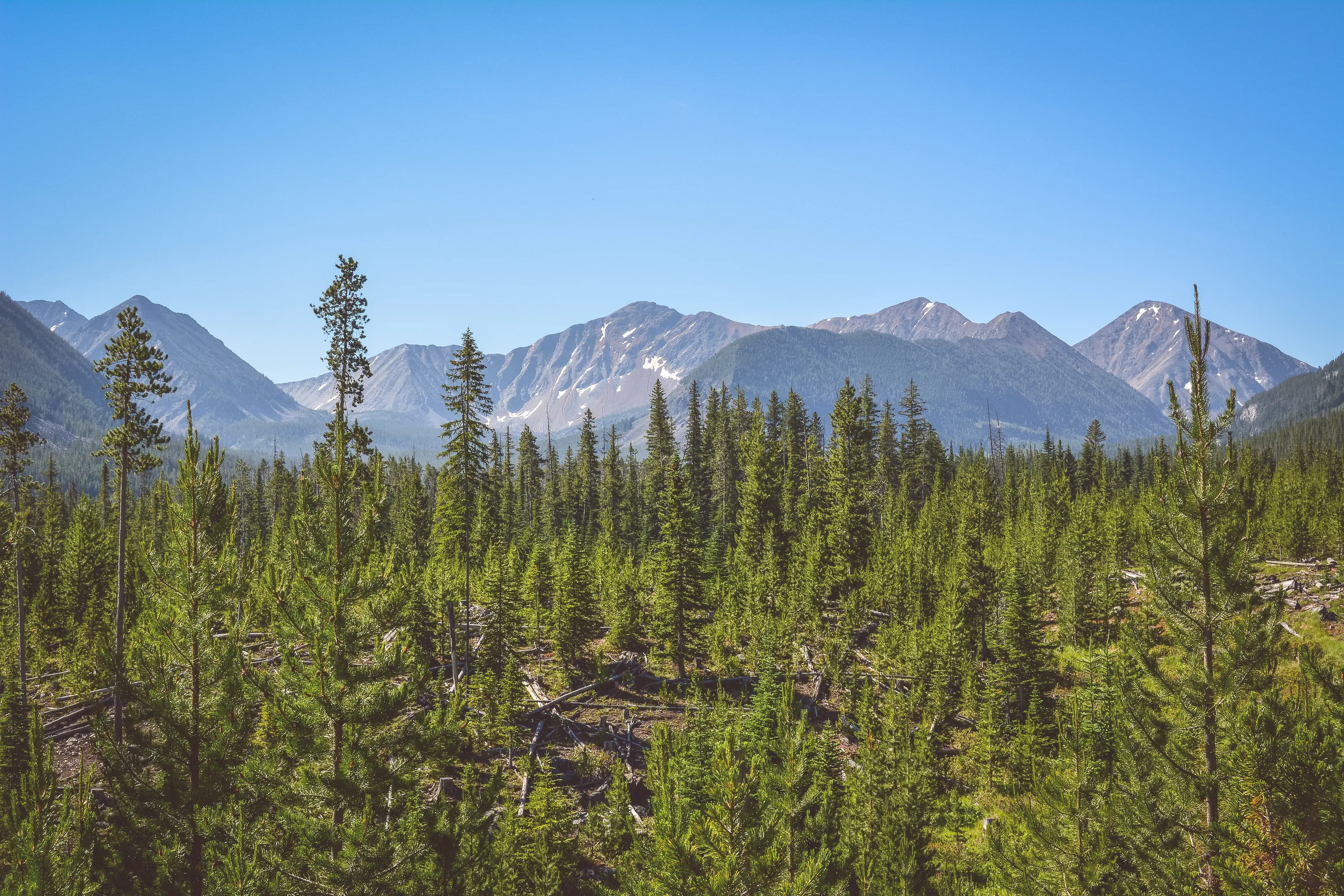 Hike to Fourmile Basin Lakes