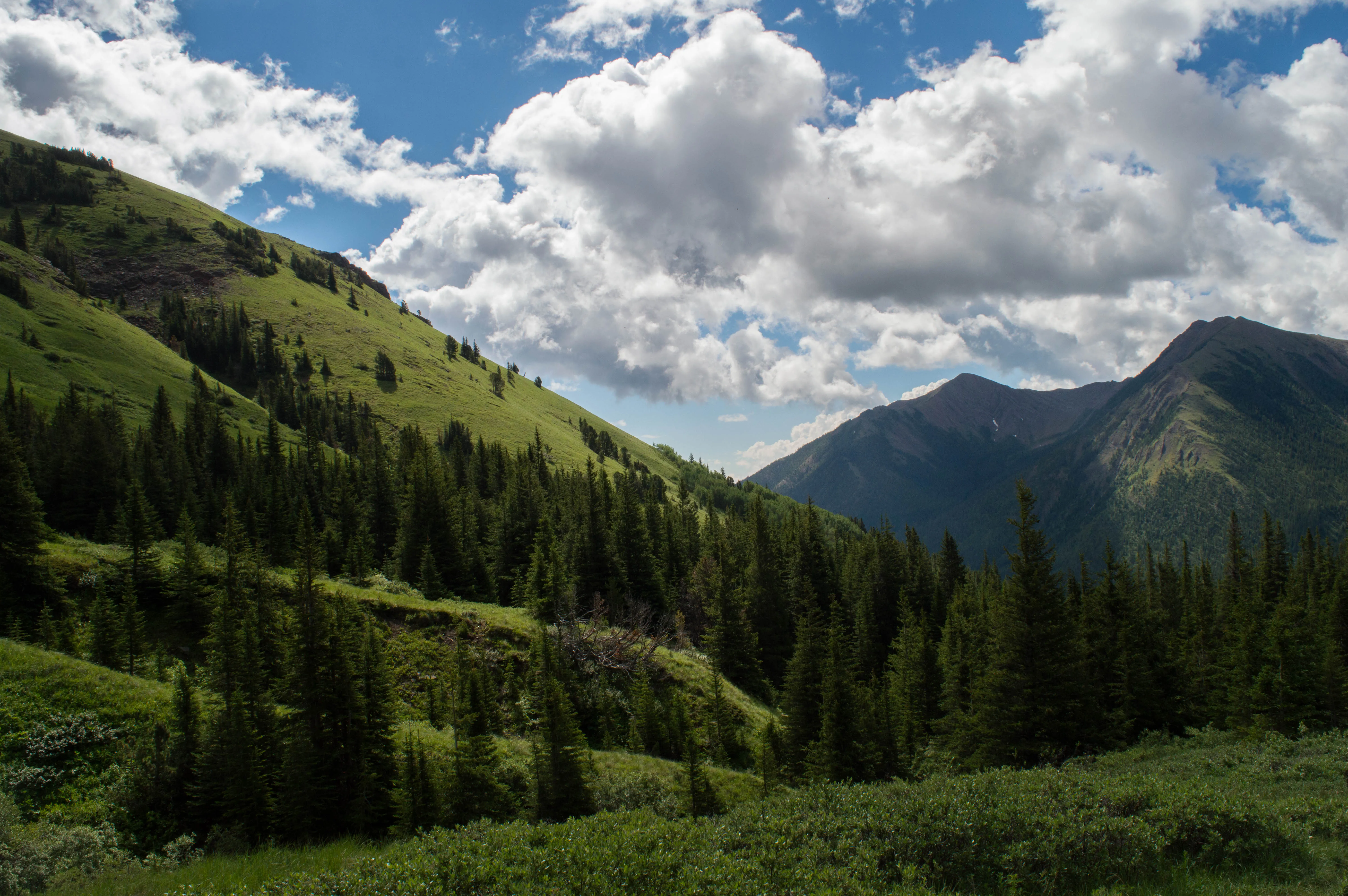 Mist Mountain Scramble