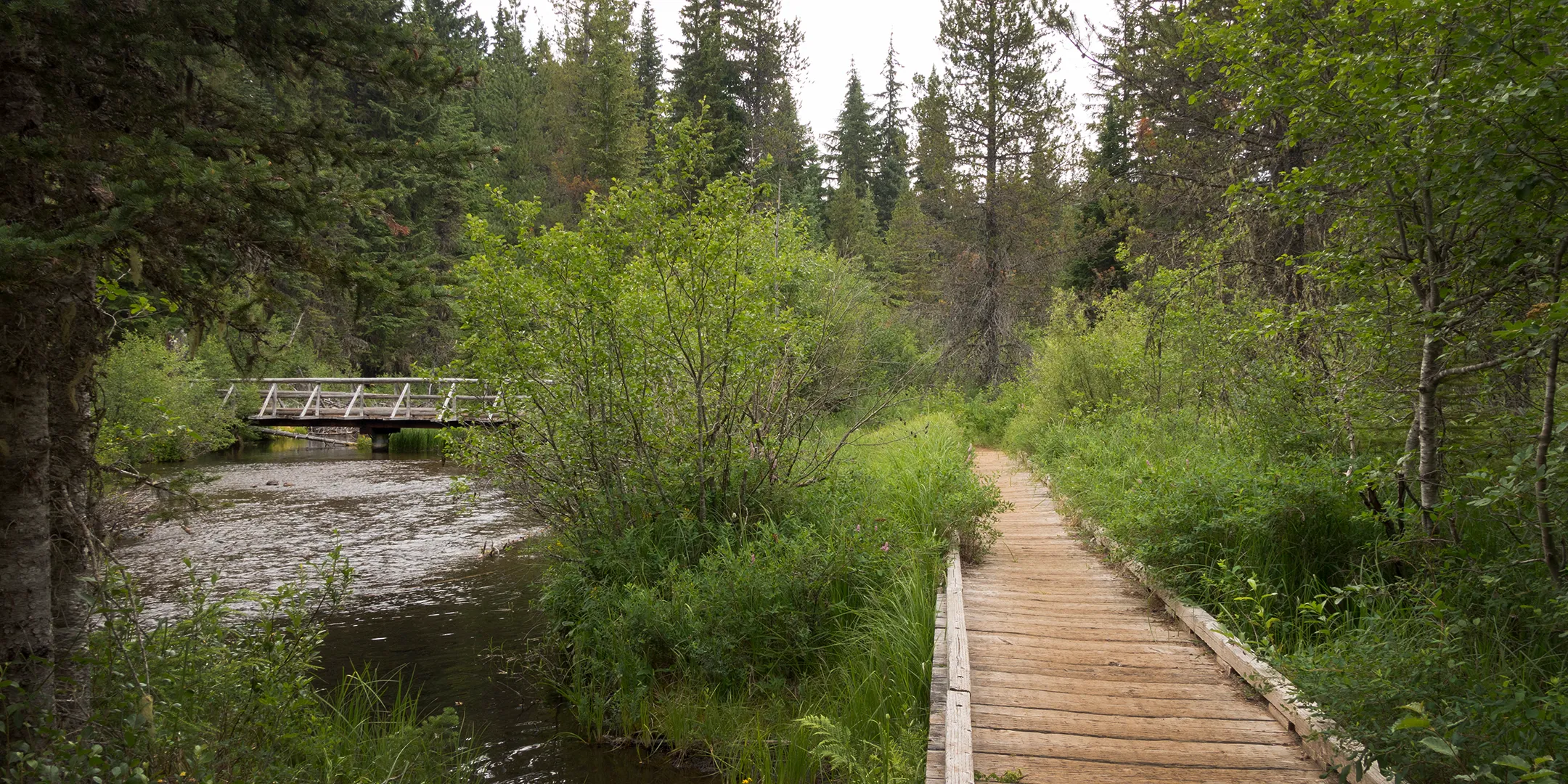 Bike the Timothy Lake Trail
