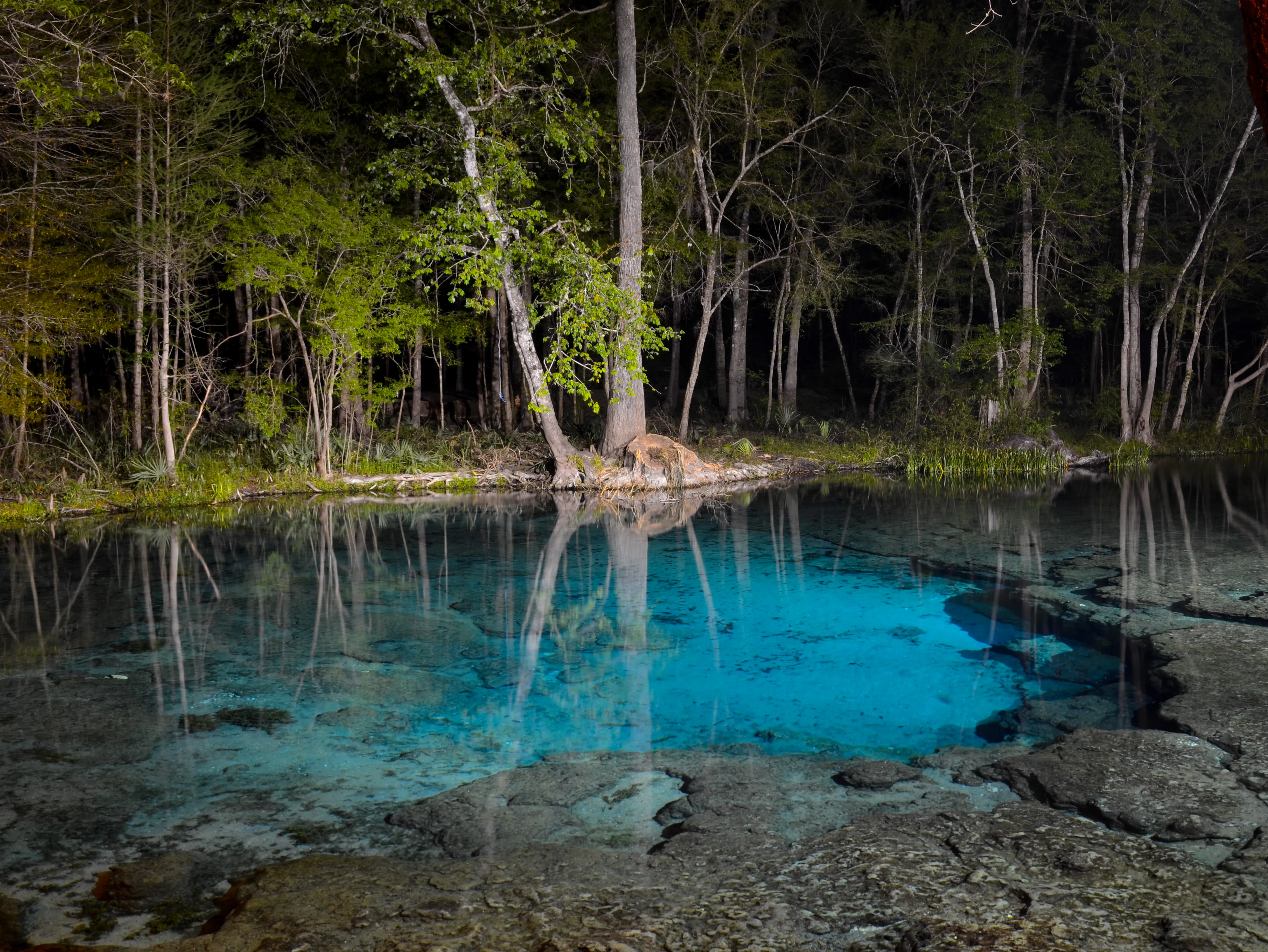 Swim at Ginnie Springs