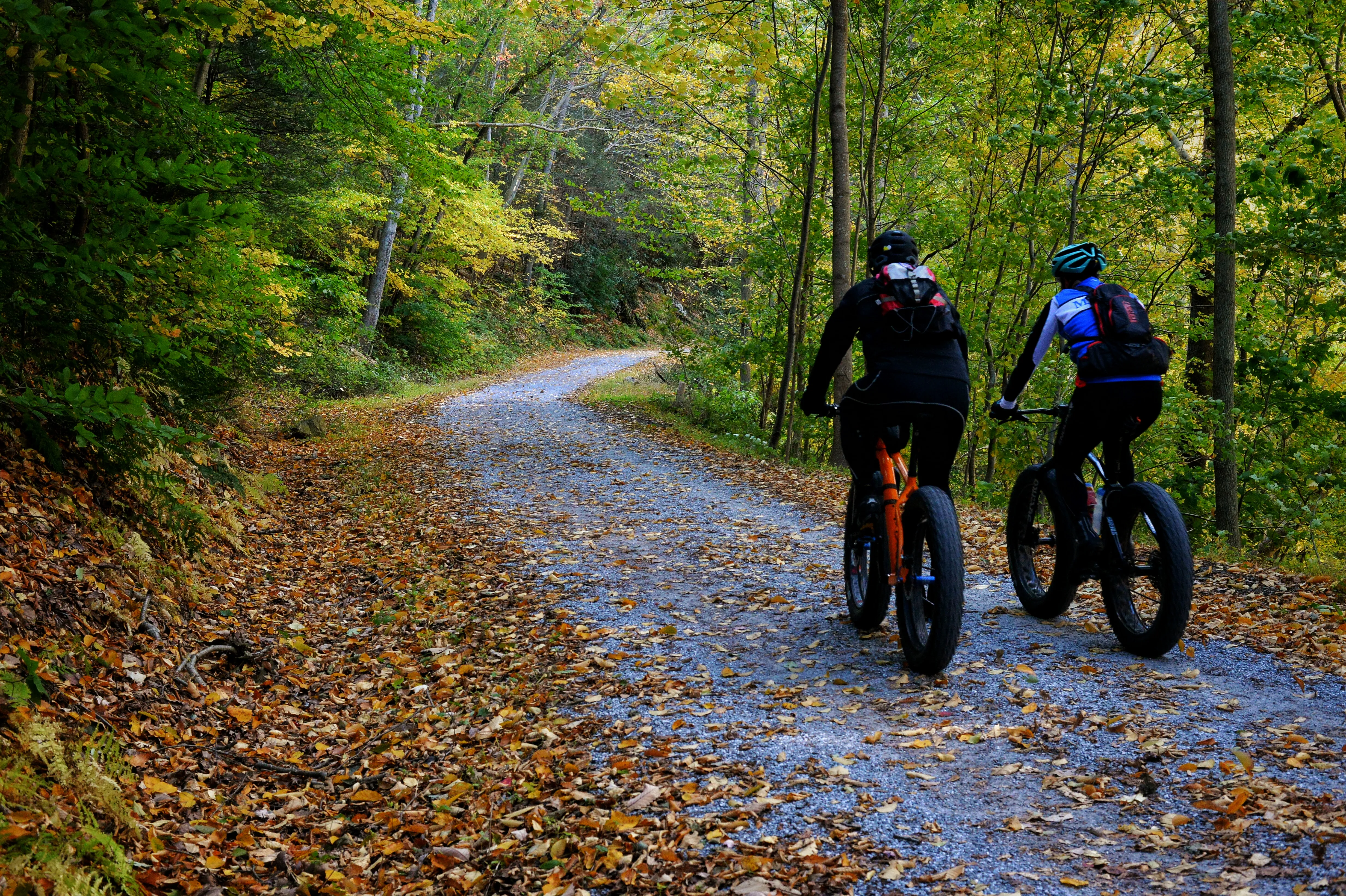 Bike the Columbia Trail: Califon to High Bridge