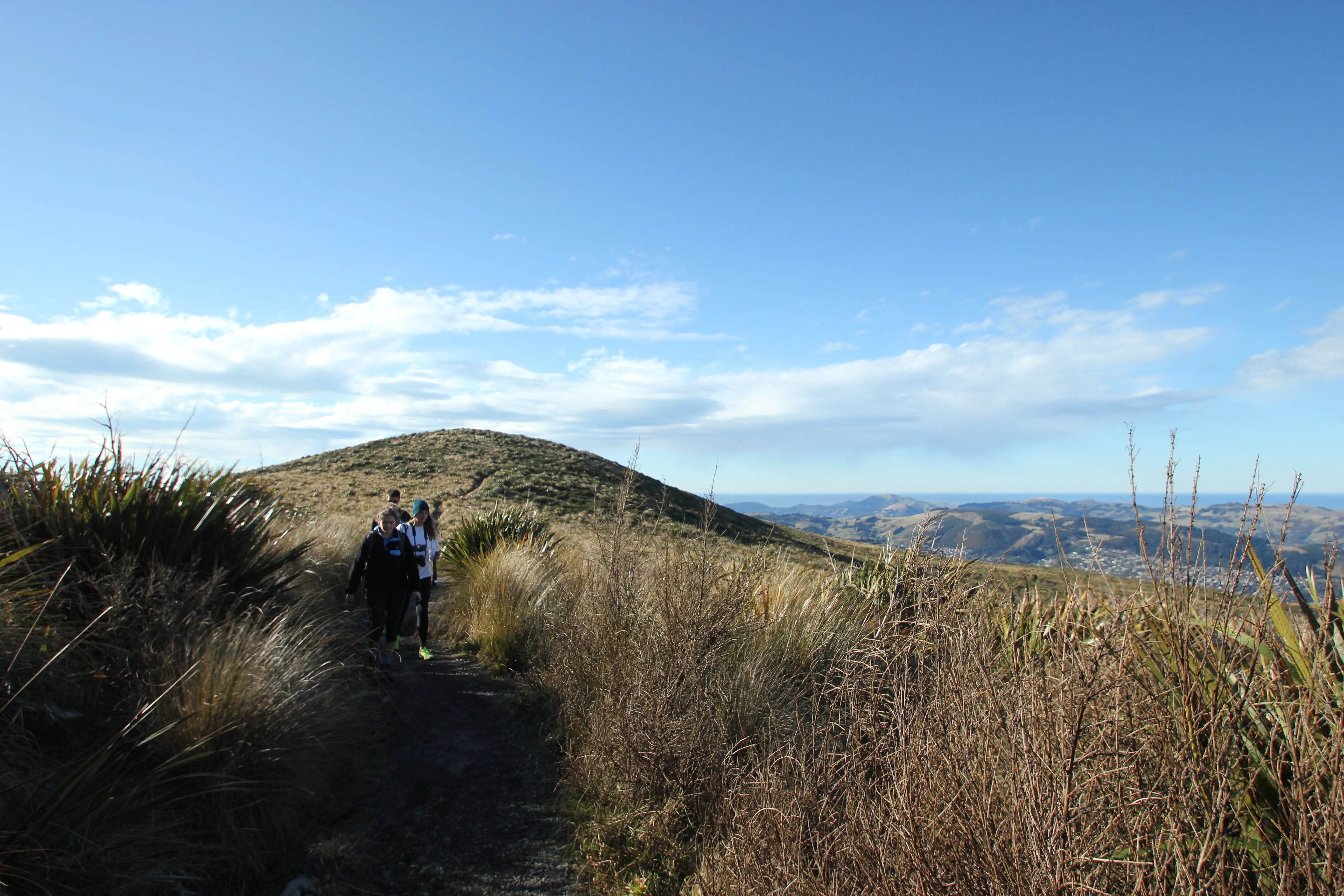 Hike the Pineapple Track 