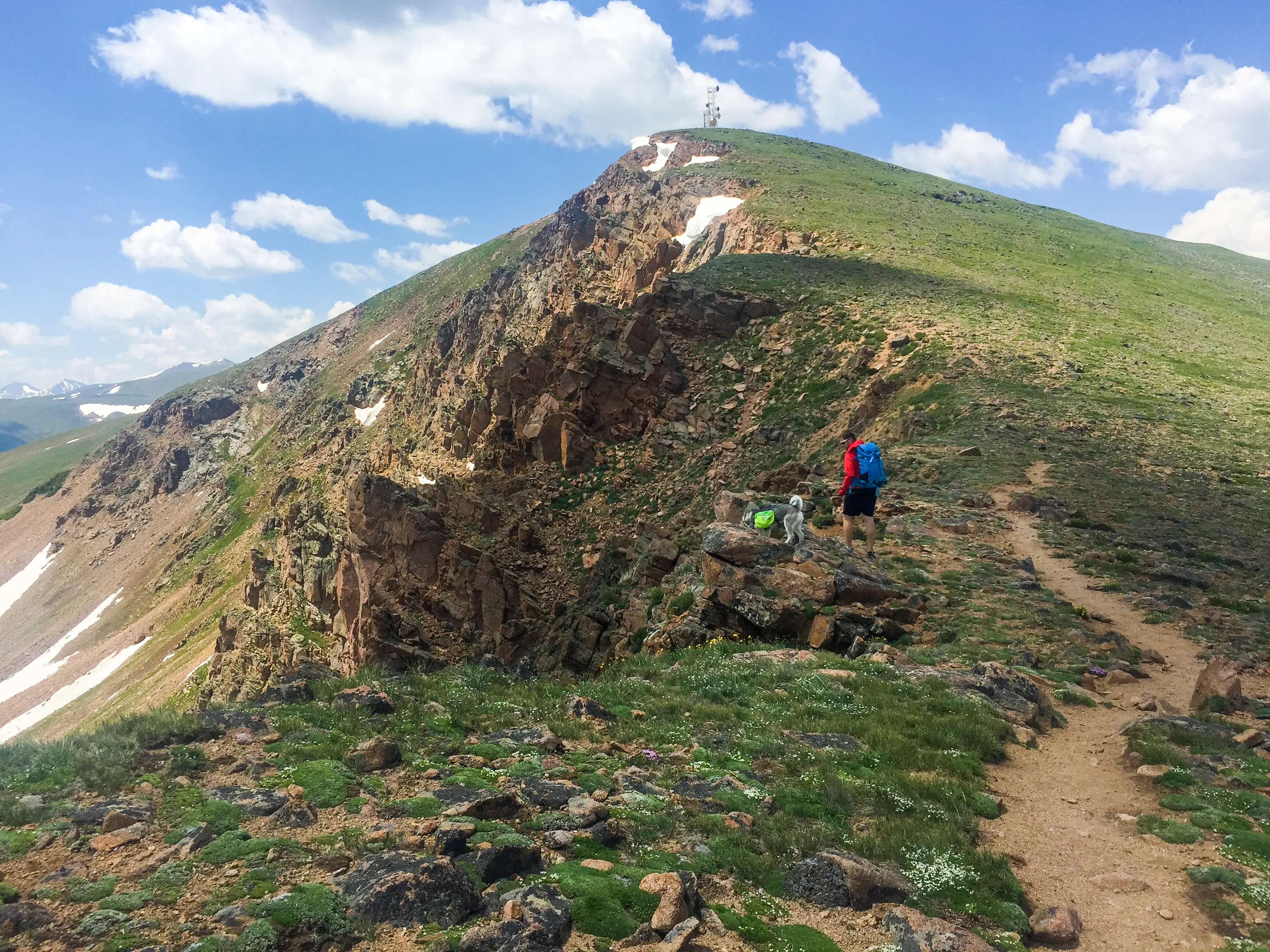 Mount Flora