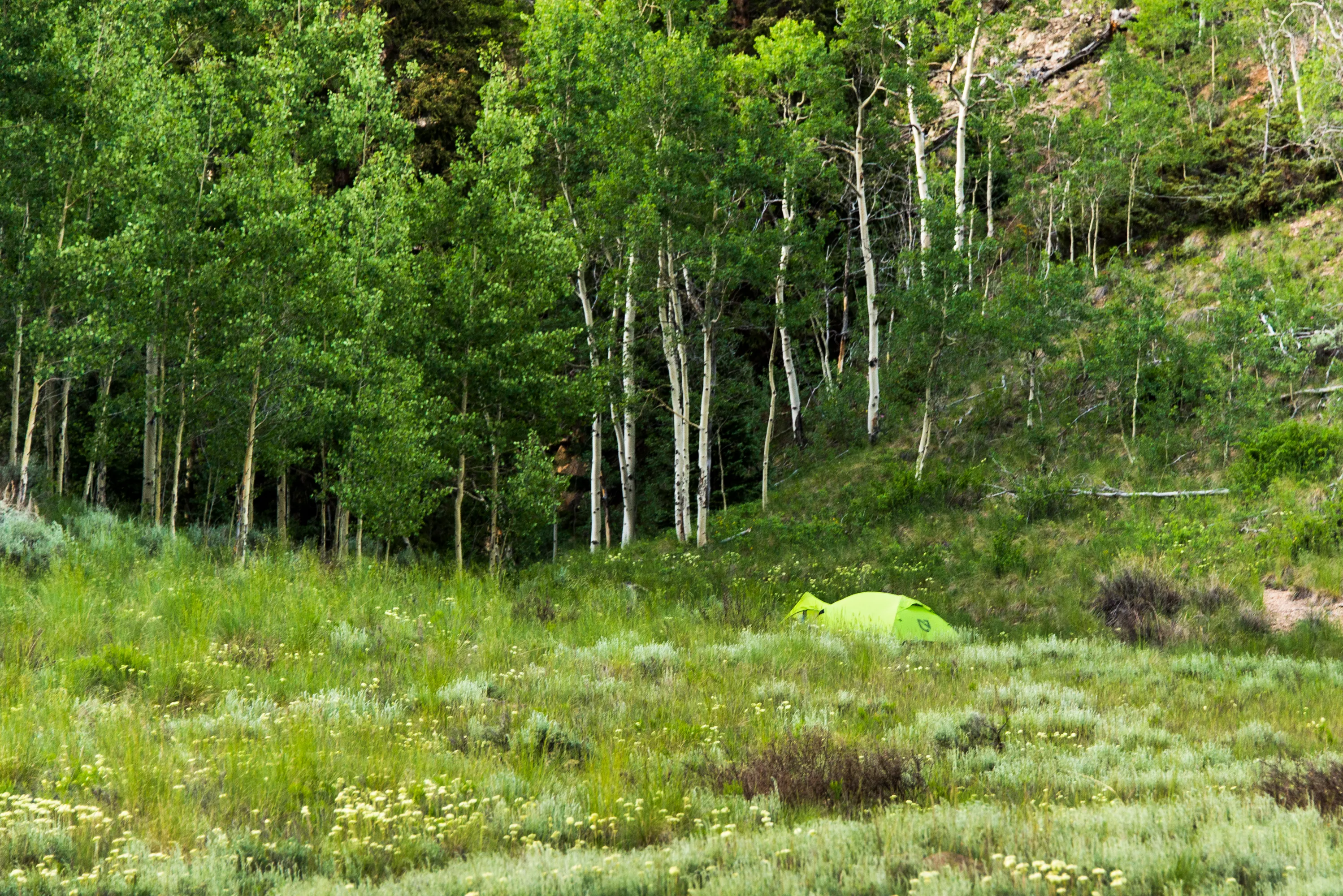 Backpack the Colorado Trail: Copper Mountain to Hagerman Pass