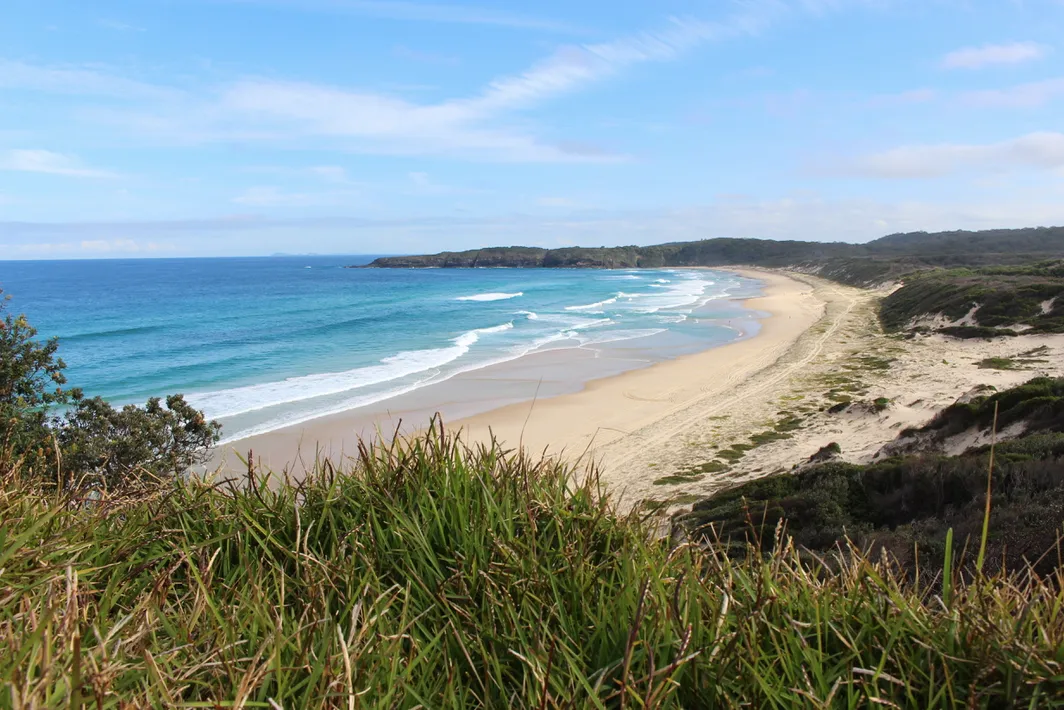 Camp and Surf in Seal Rocks
