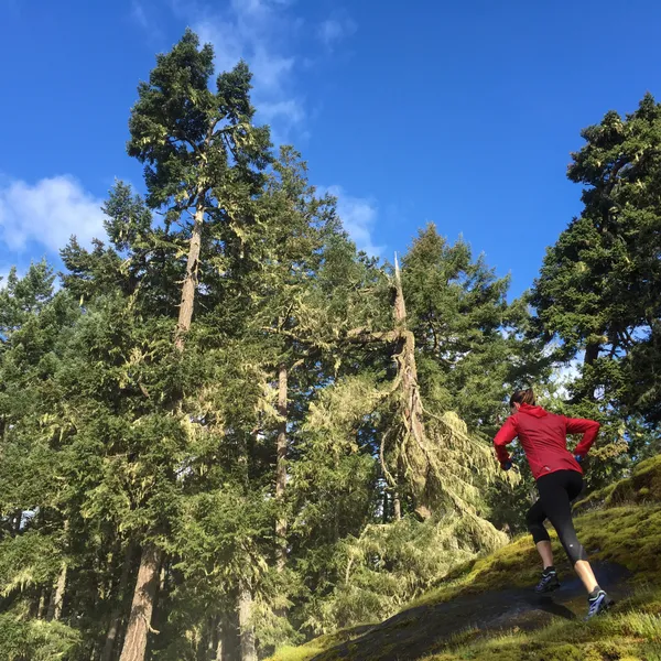 10 Tips For Running Your First Ultramarathon