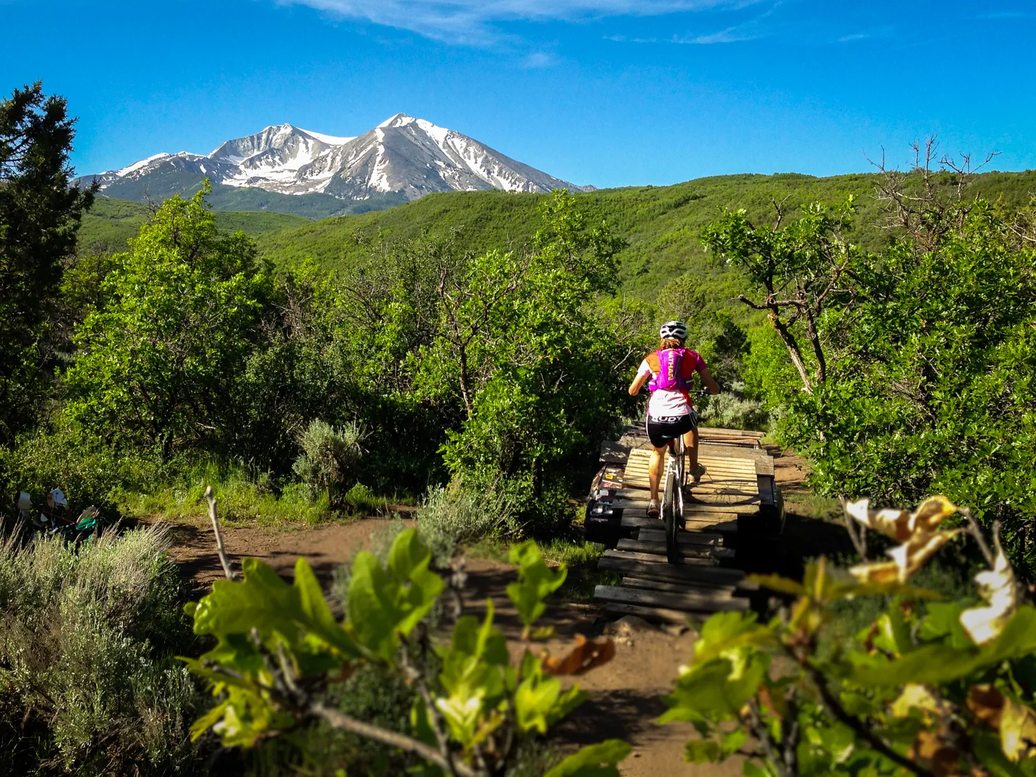 Mountain Bike Prince Creek