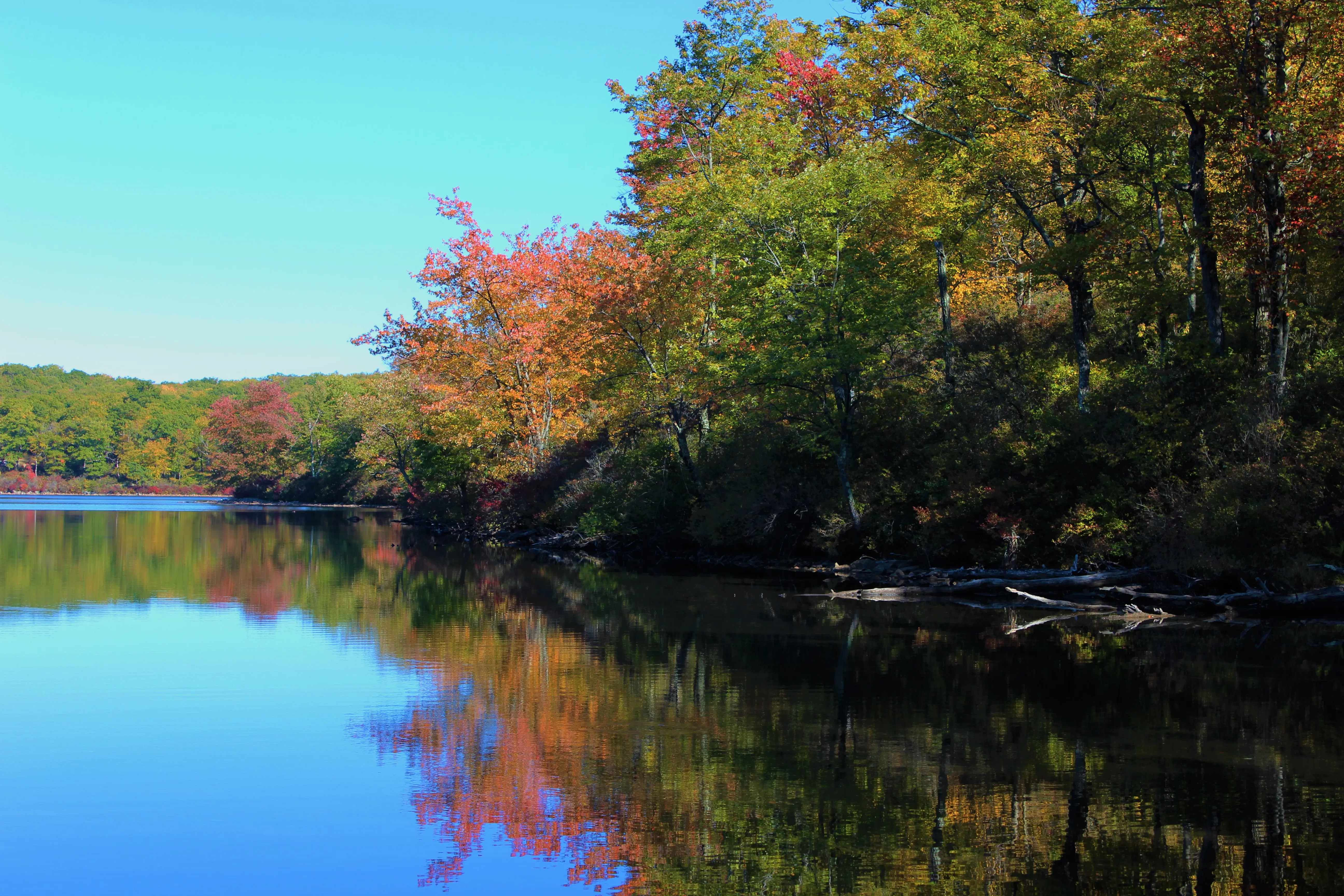 Hike to Sunfish Pond