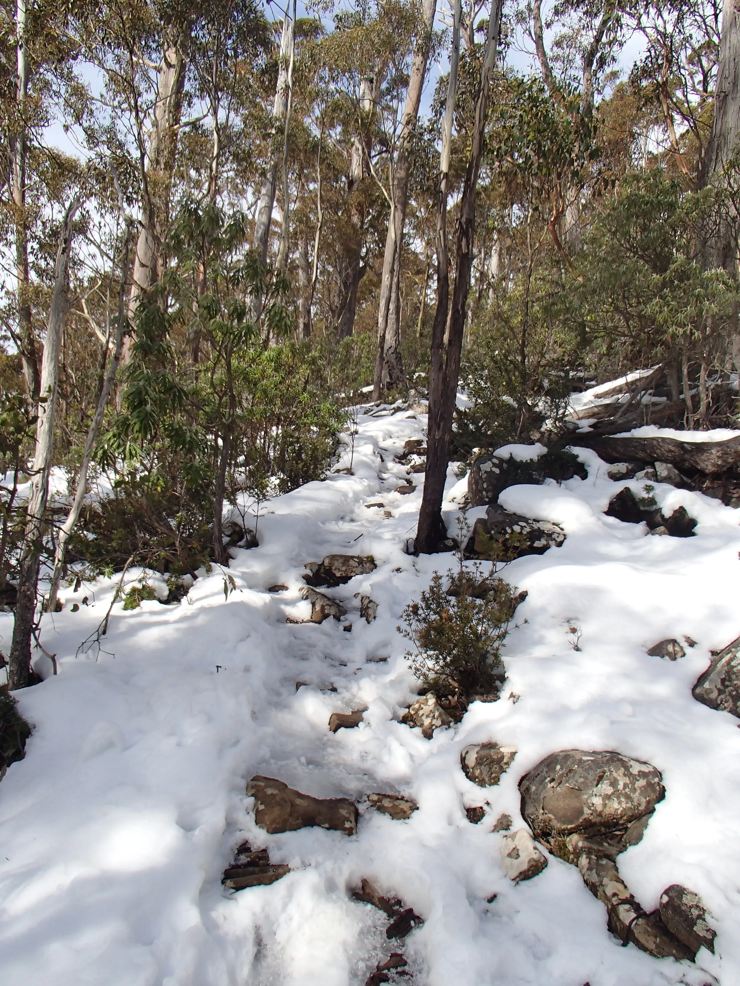 Lenah Valley Circuit