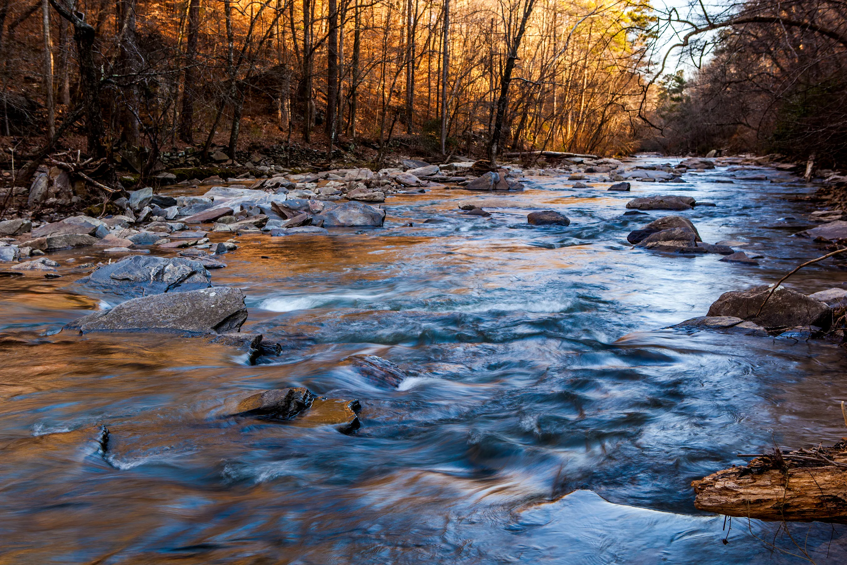 Sope Creek Loop