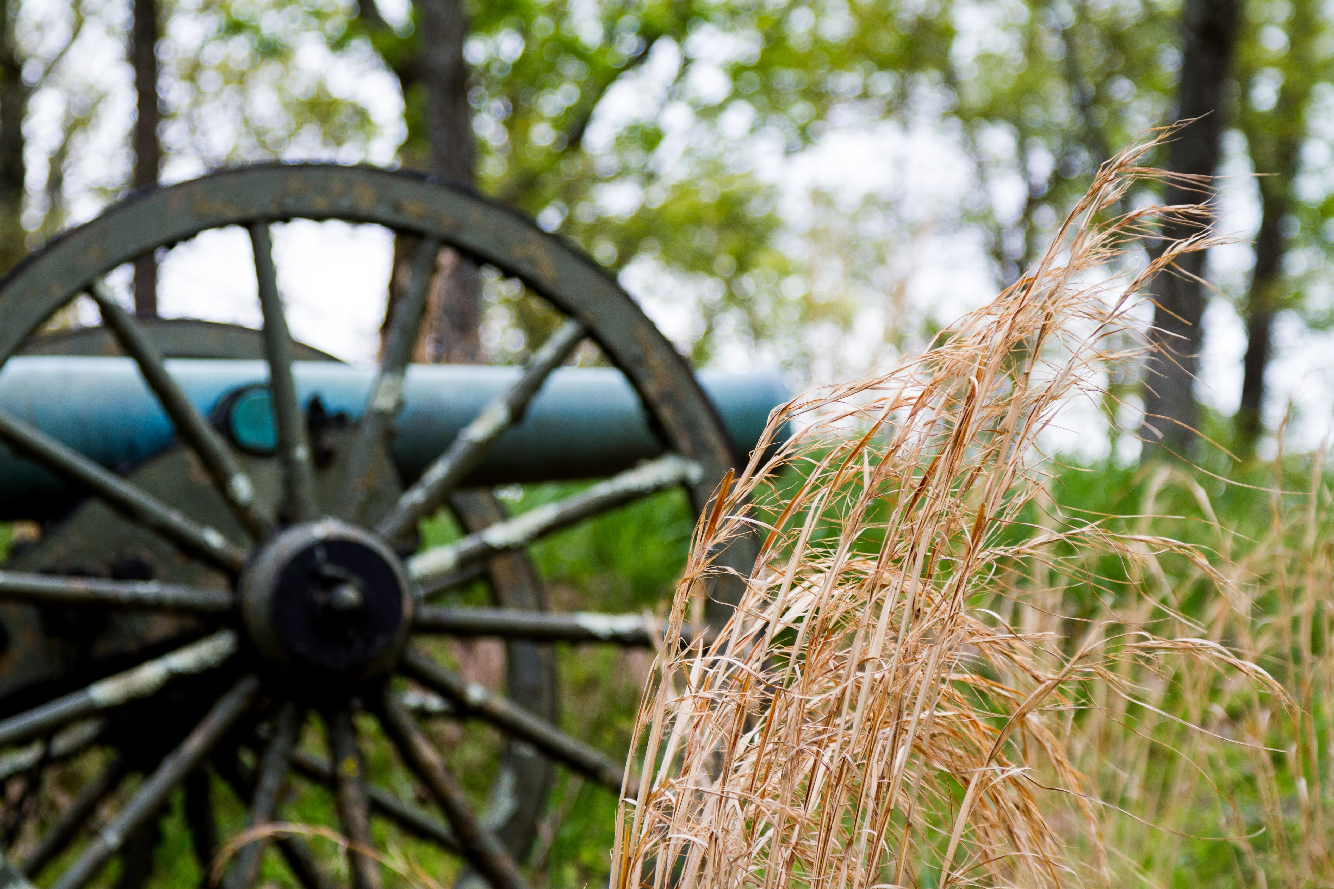Hike the Battlefield and Mountain Loop