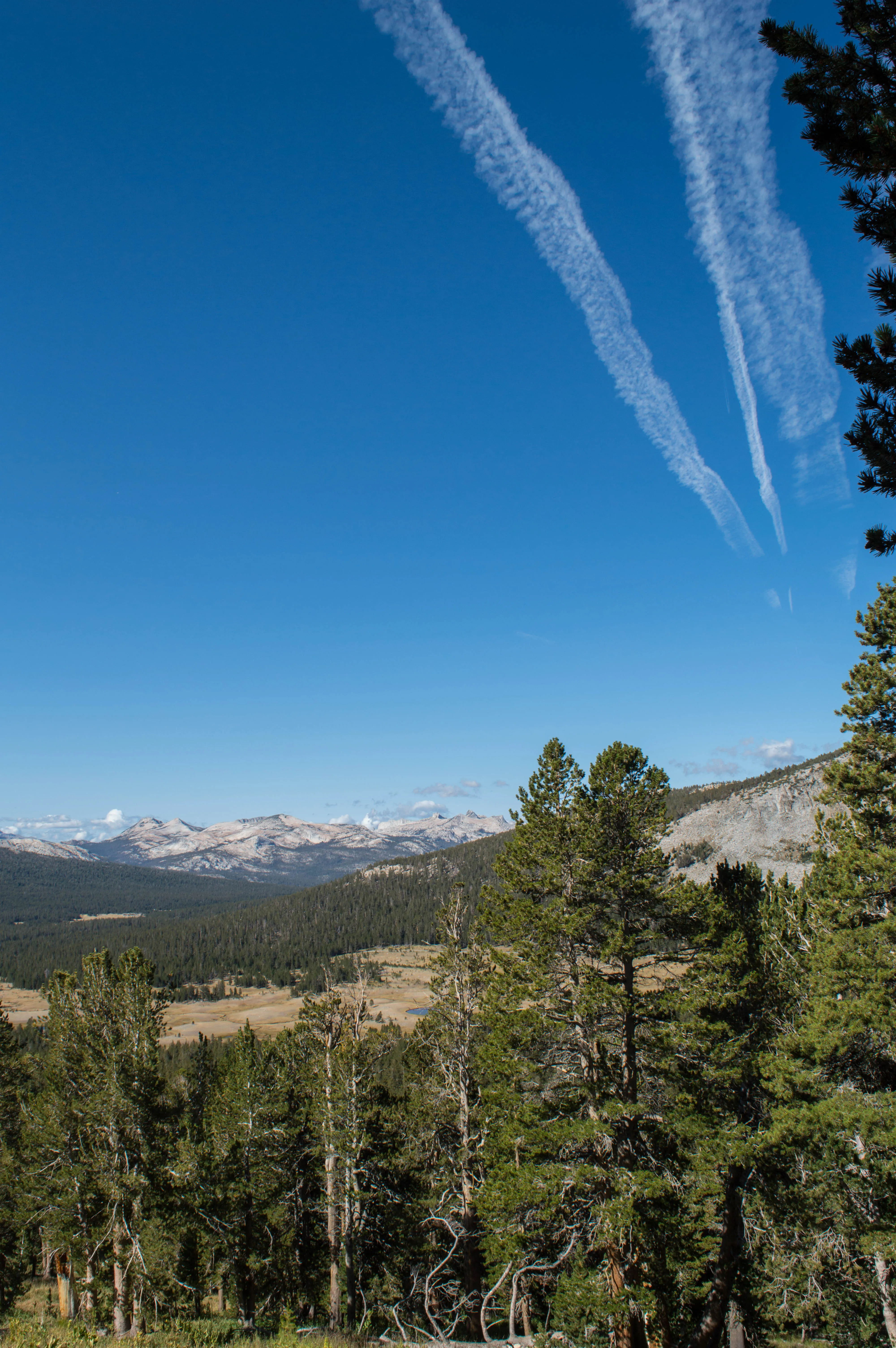 Mount Dana