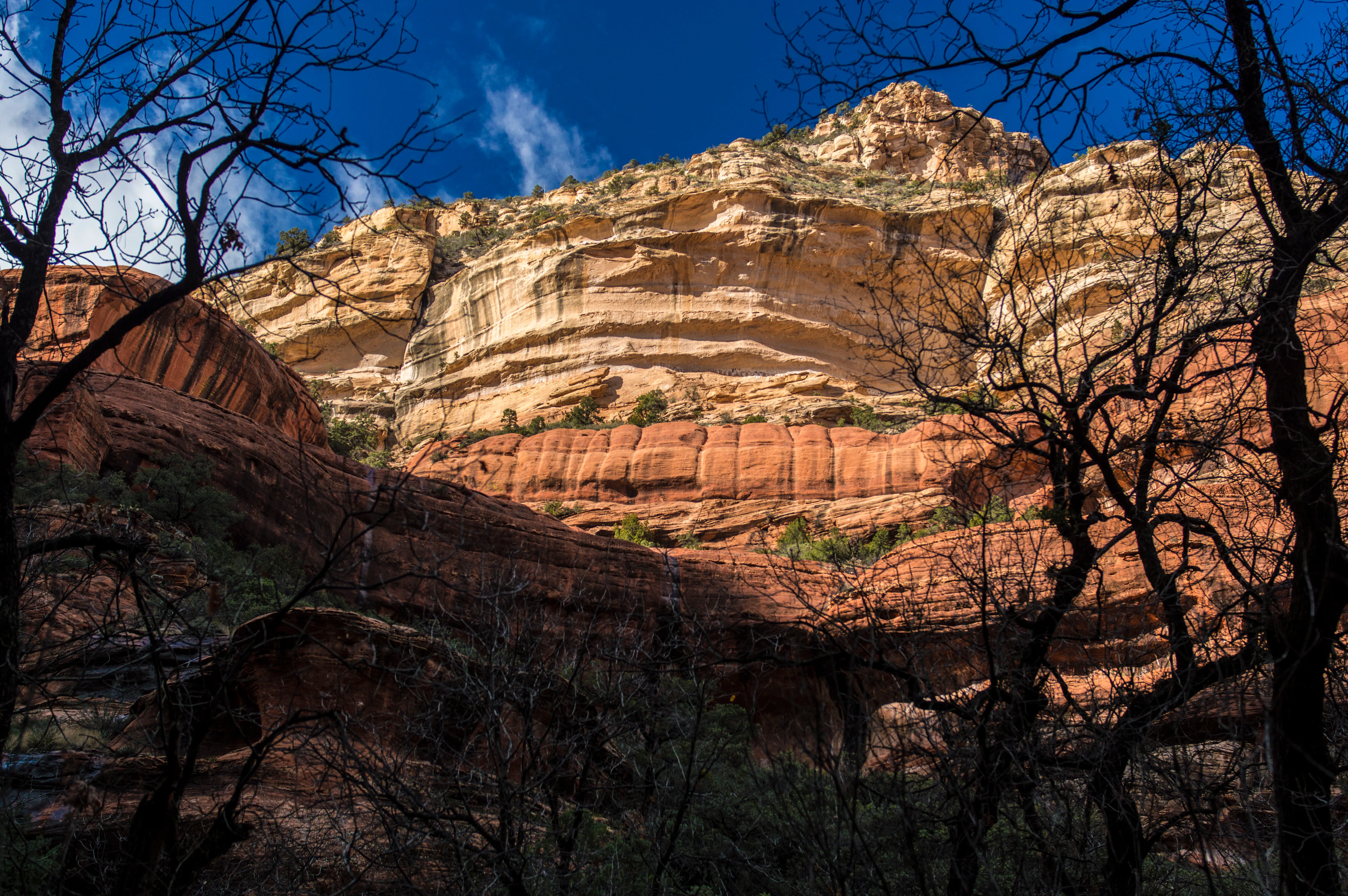 West Fork Trail