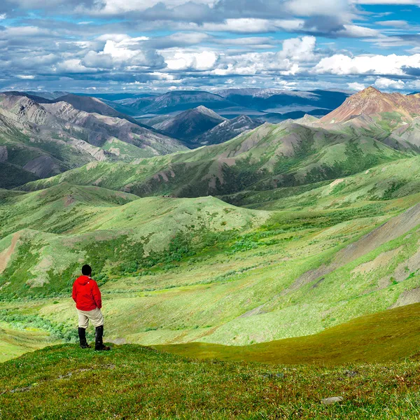 8 Reasons Why I Returned To Alaska