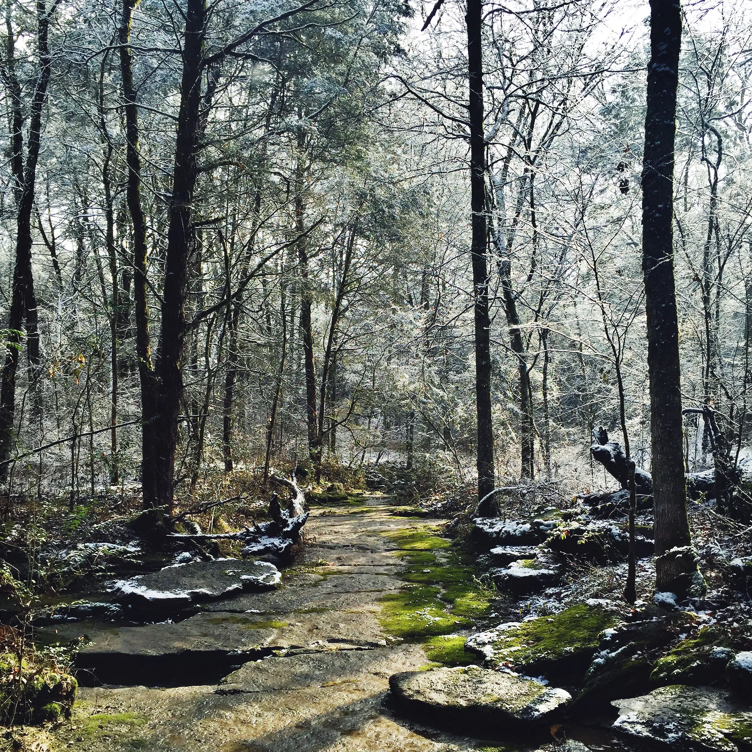 Hike the Hidden Springs Trail
