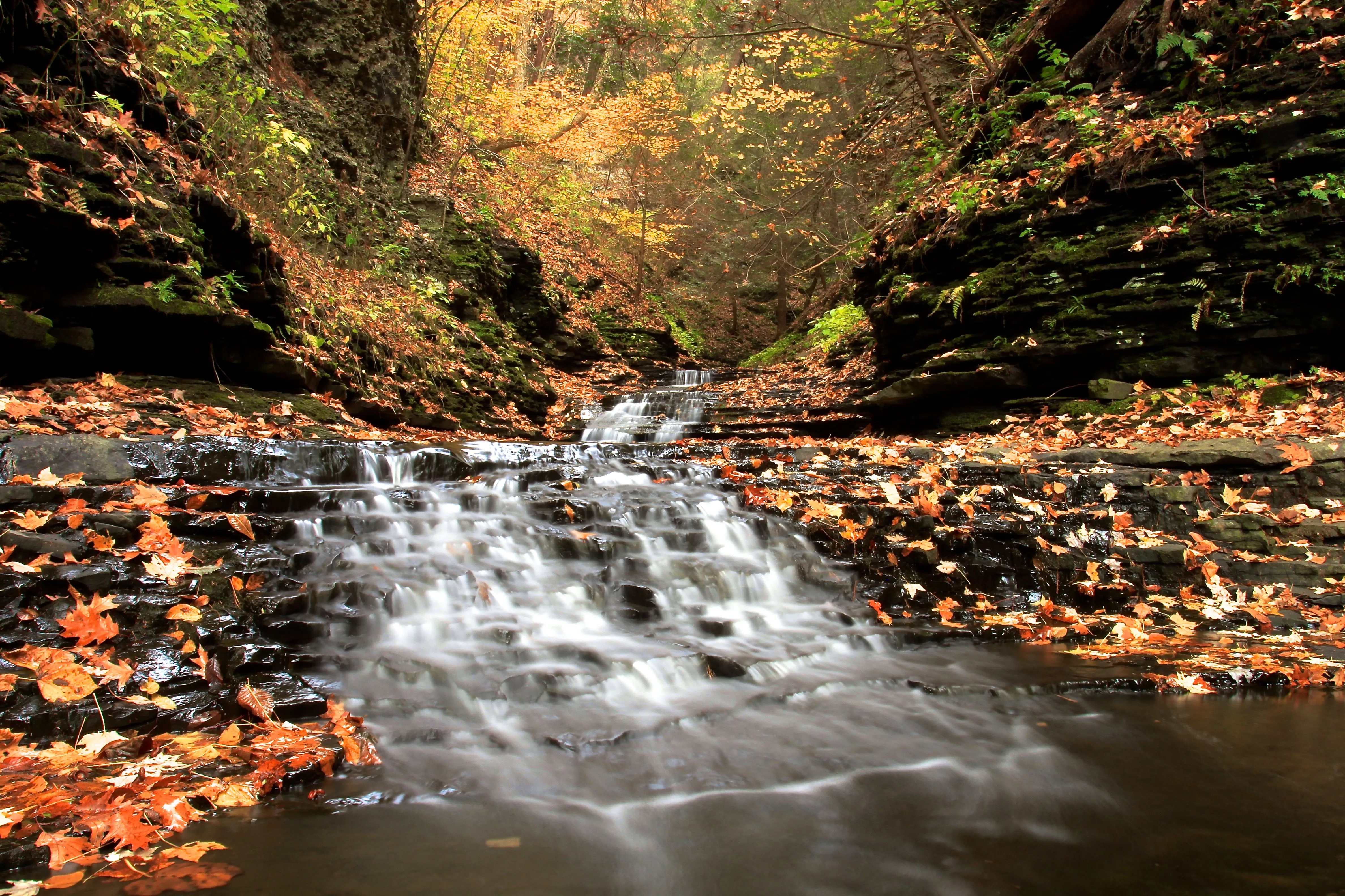 Hike Sweedler Preserve at Lick Brook