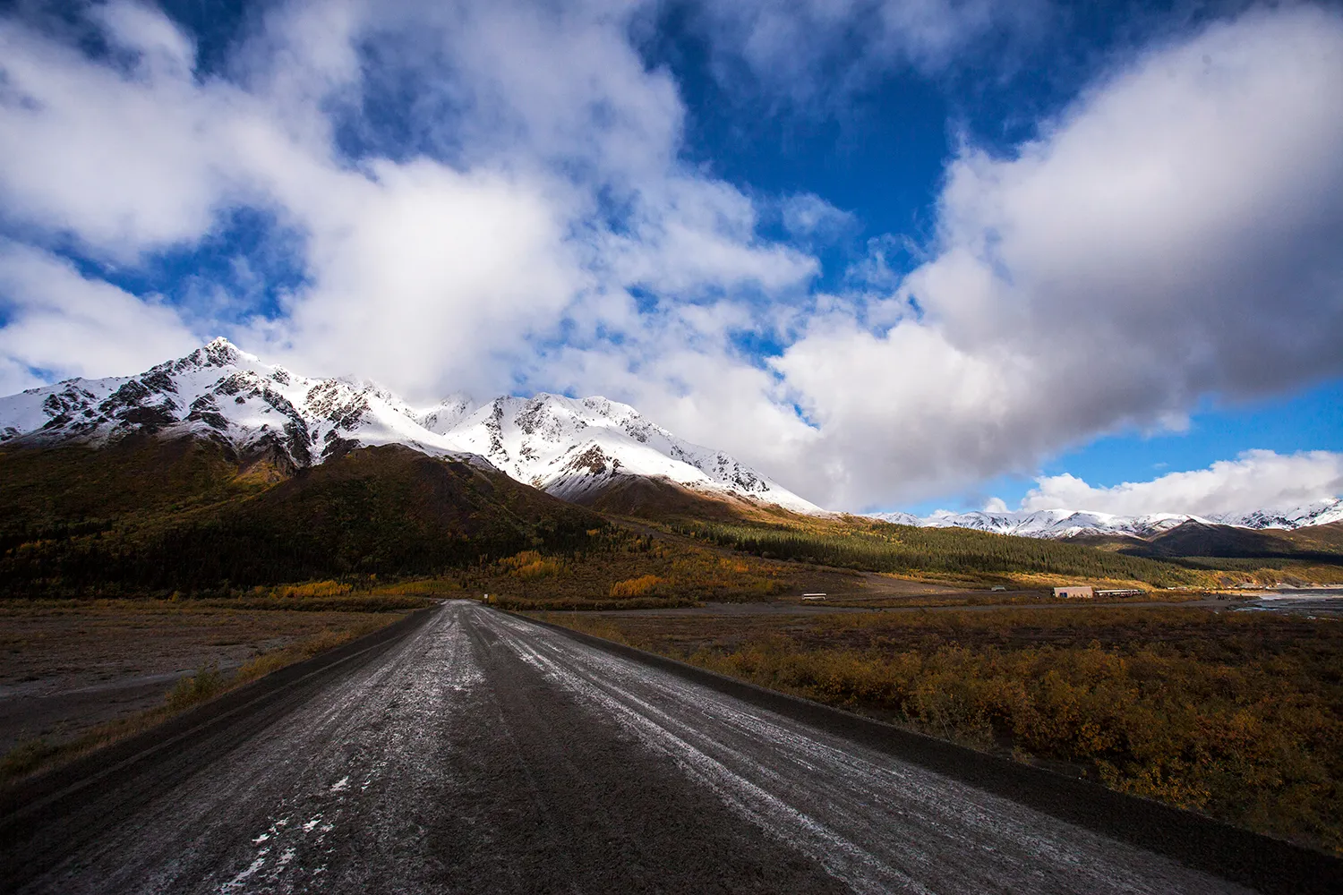 Climb the Ridge Behind Toklat Road Camp in Denali