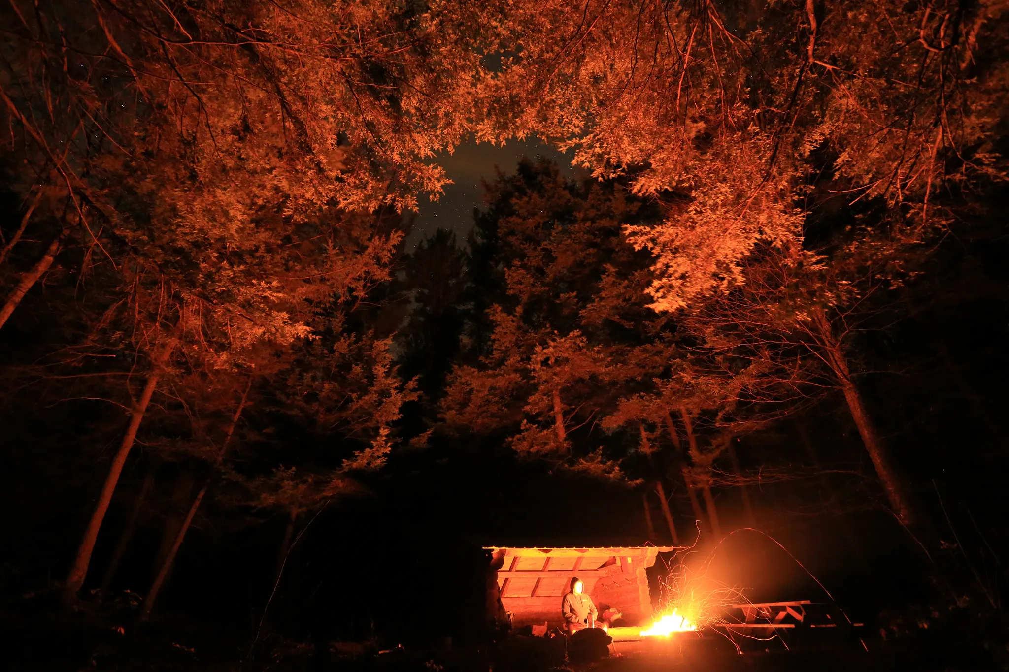 Camp at the Shindagin Hollow Lean-To