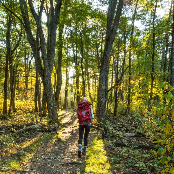 5 Exercises To Stifle Back Pain On The Trail