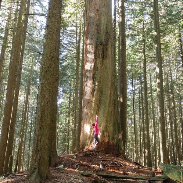 The Pursuit Of Happiness: 10 Reasons Why I Quit My Job And Chose Adventure