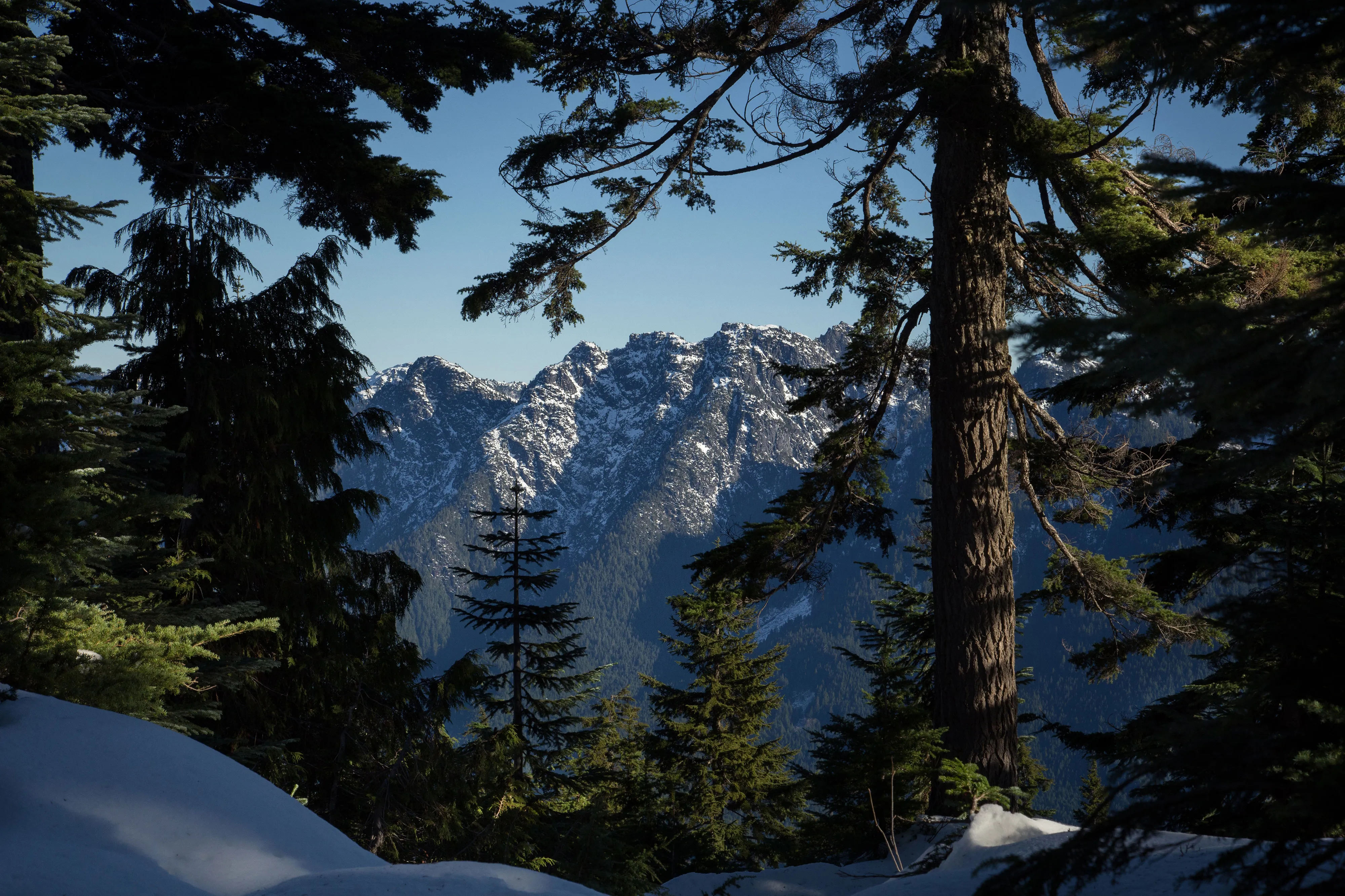 Snowshoe Hollyburn Mountain