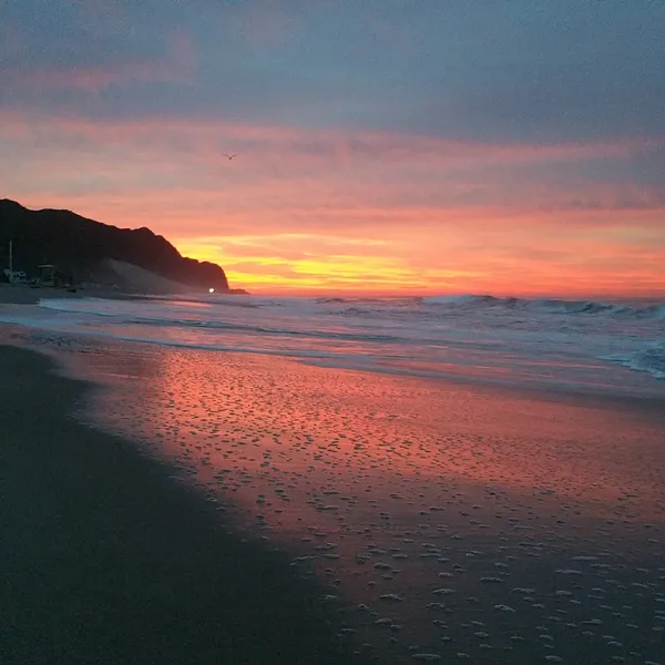 Camp at Thornhill Broome State Beach
