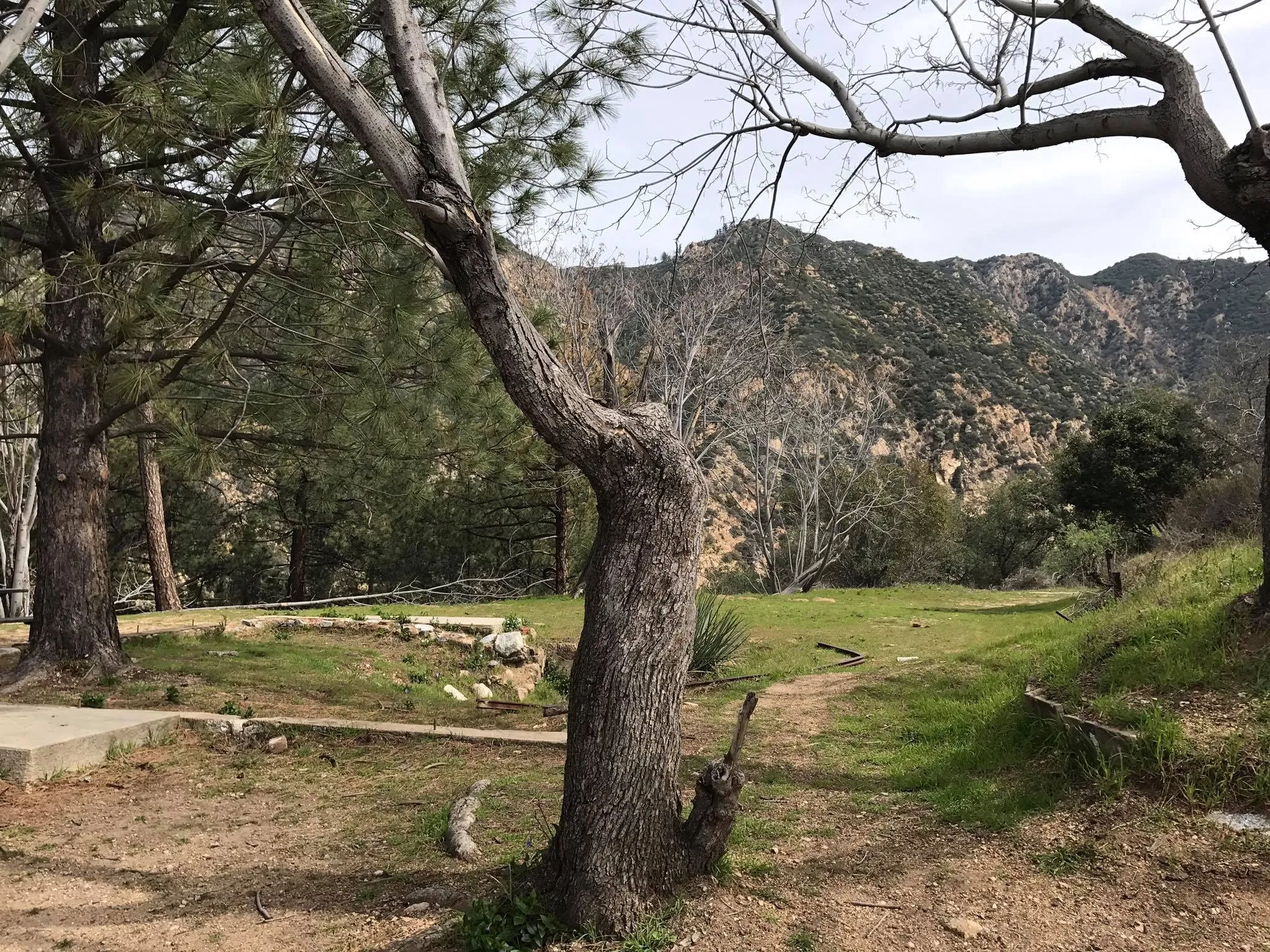 Echo Mountain and Inspiration Point Loop