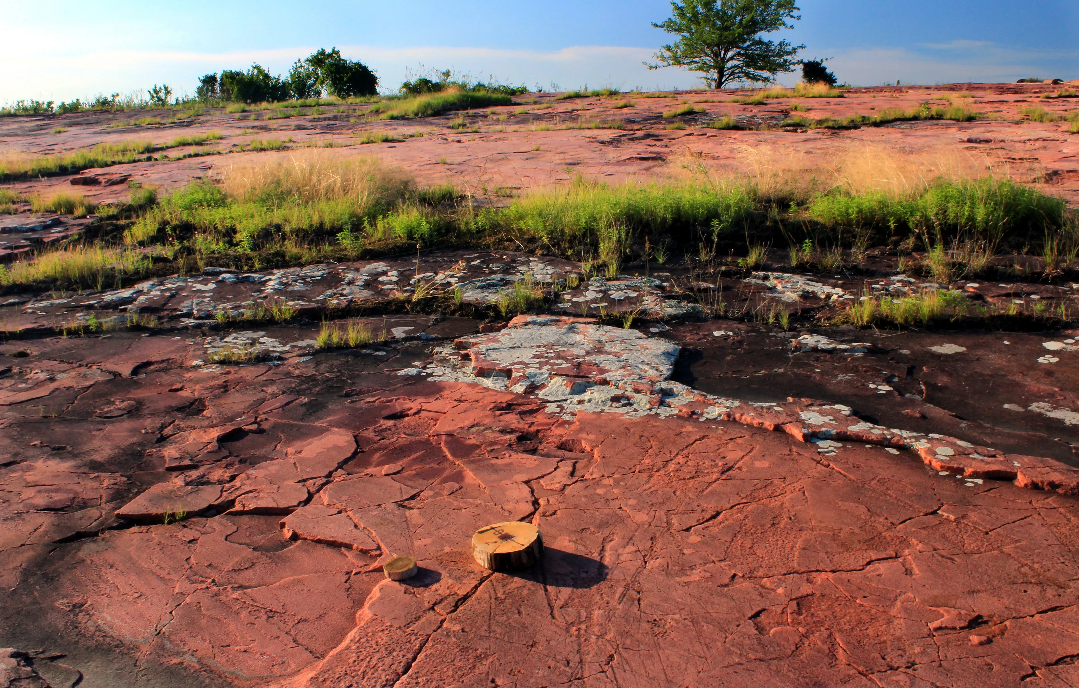 Explore Jeffers Petroglyphs
