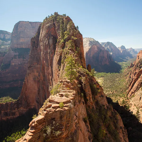 Do If You Dare: 5 Reasons Why You Should Hike Angels Landing 