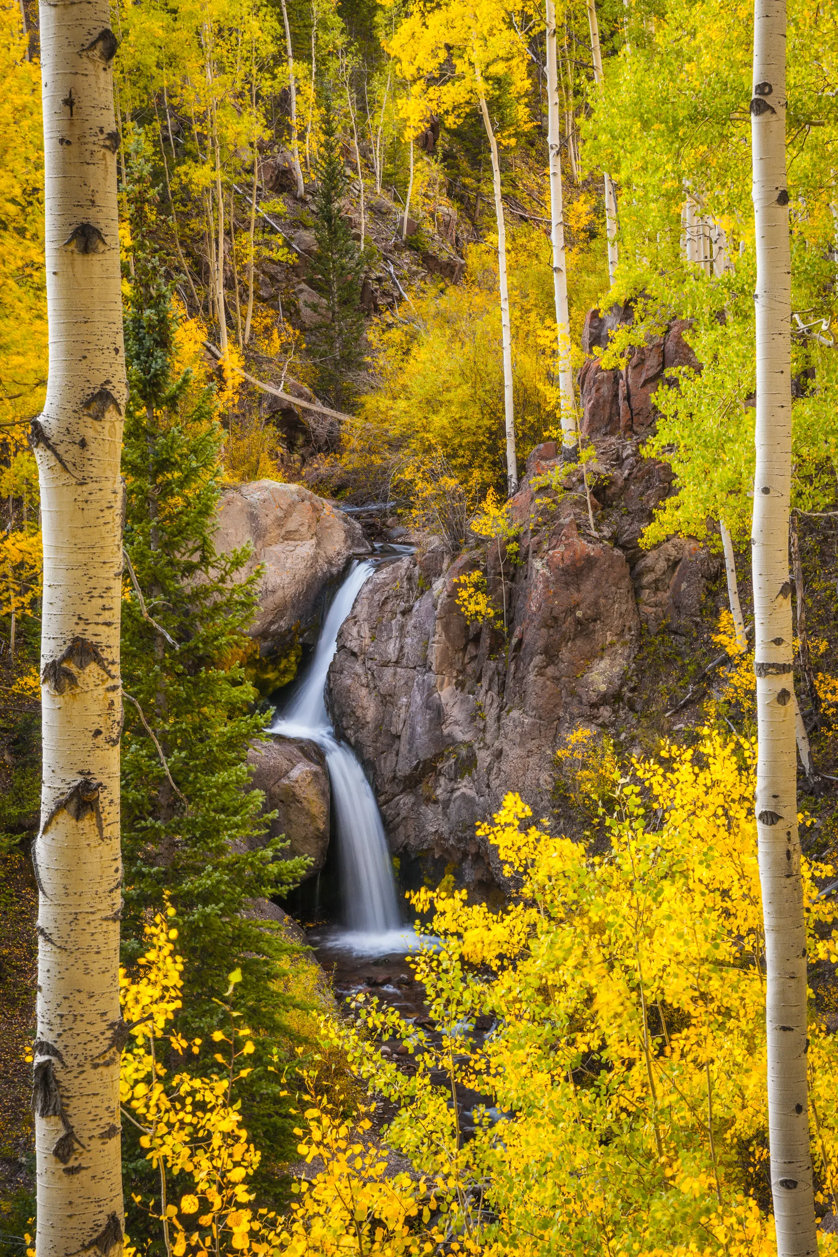 Nellie Creek Falls