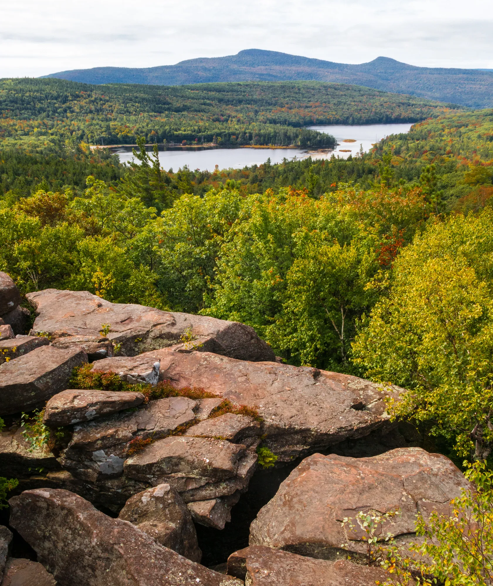 Escarpment Trail