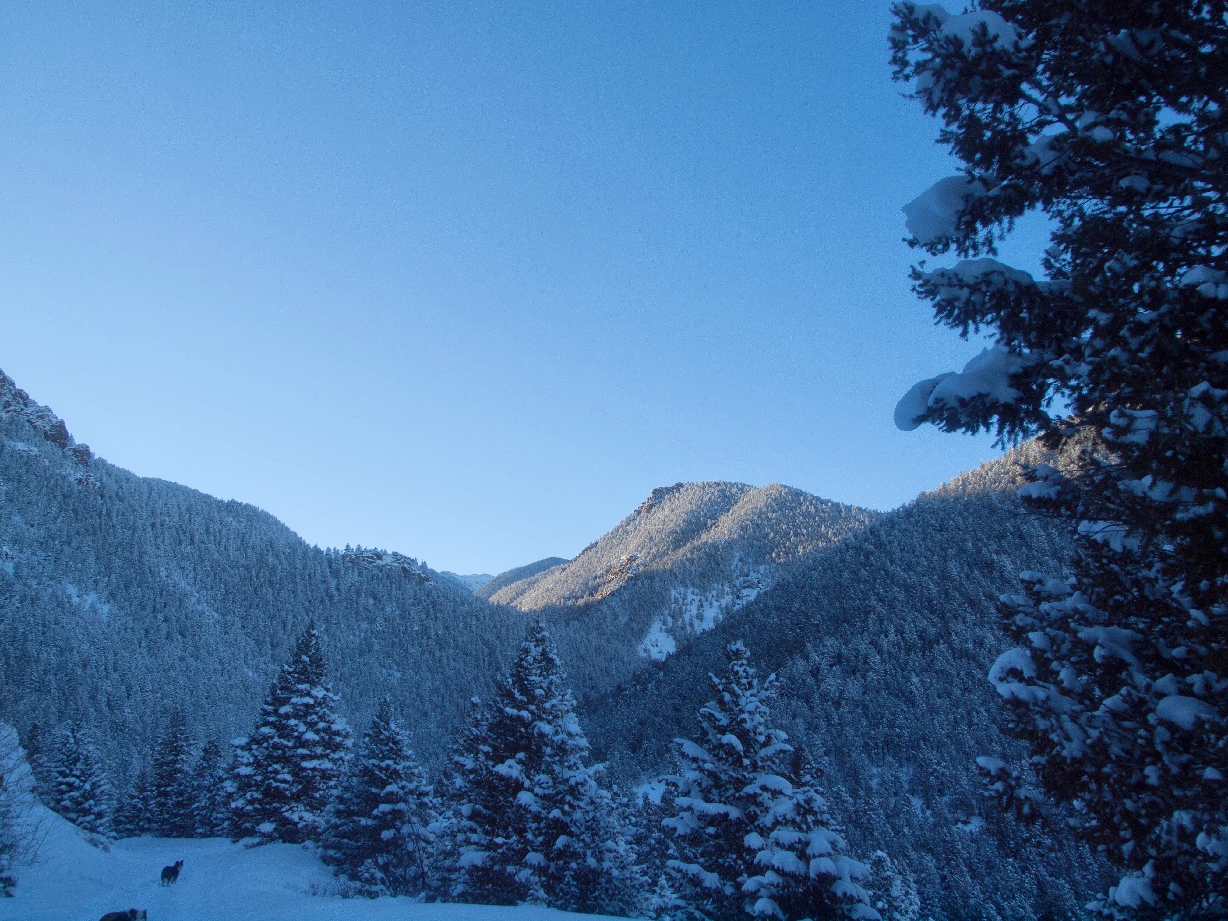 Snowshoe to St. Mary's Falls