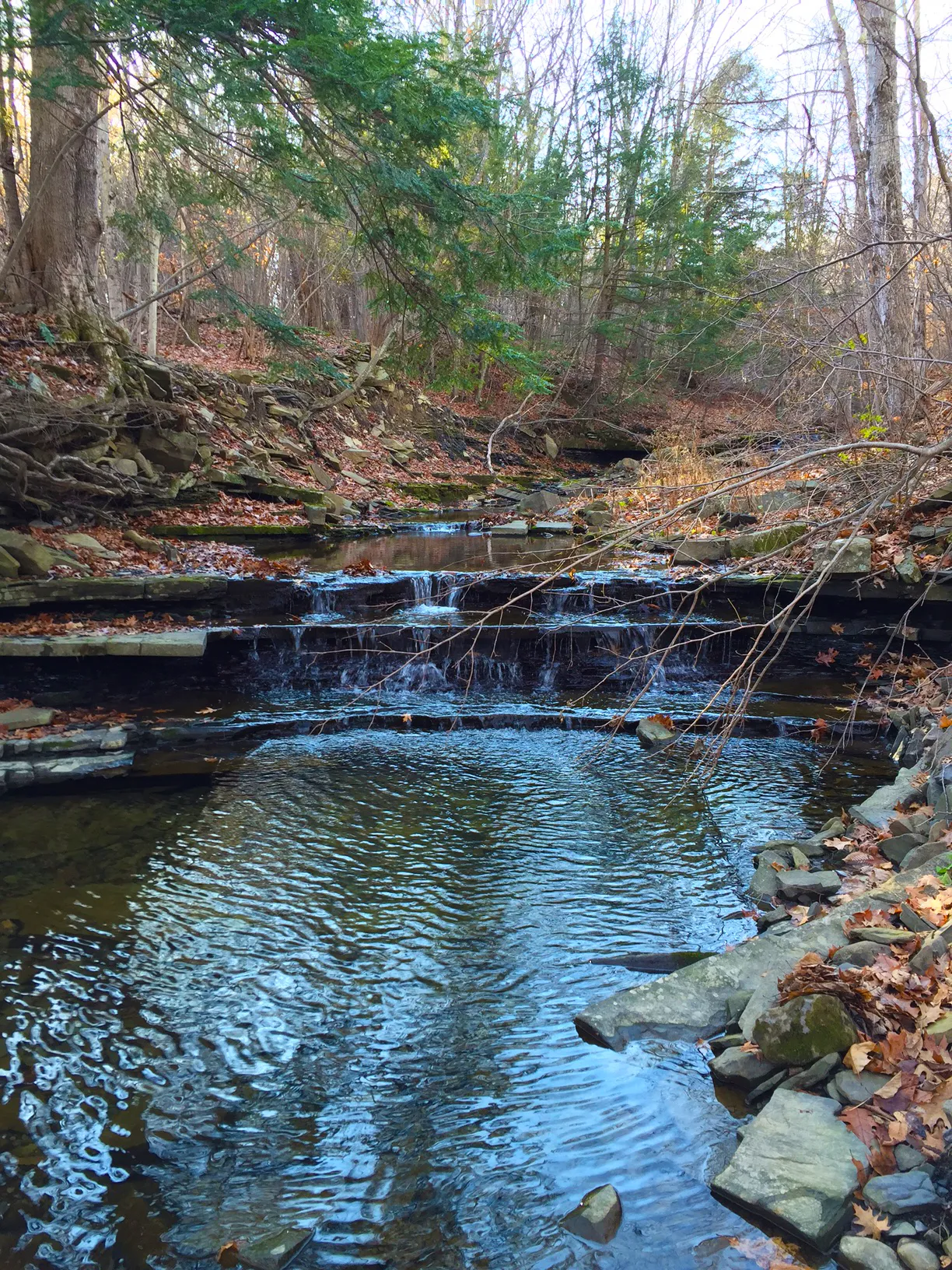 Wolf Creek Falls Preserve White Trail Loop