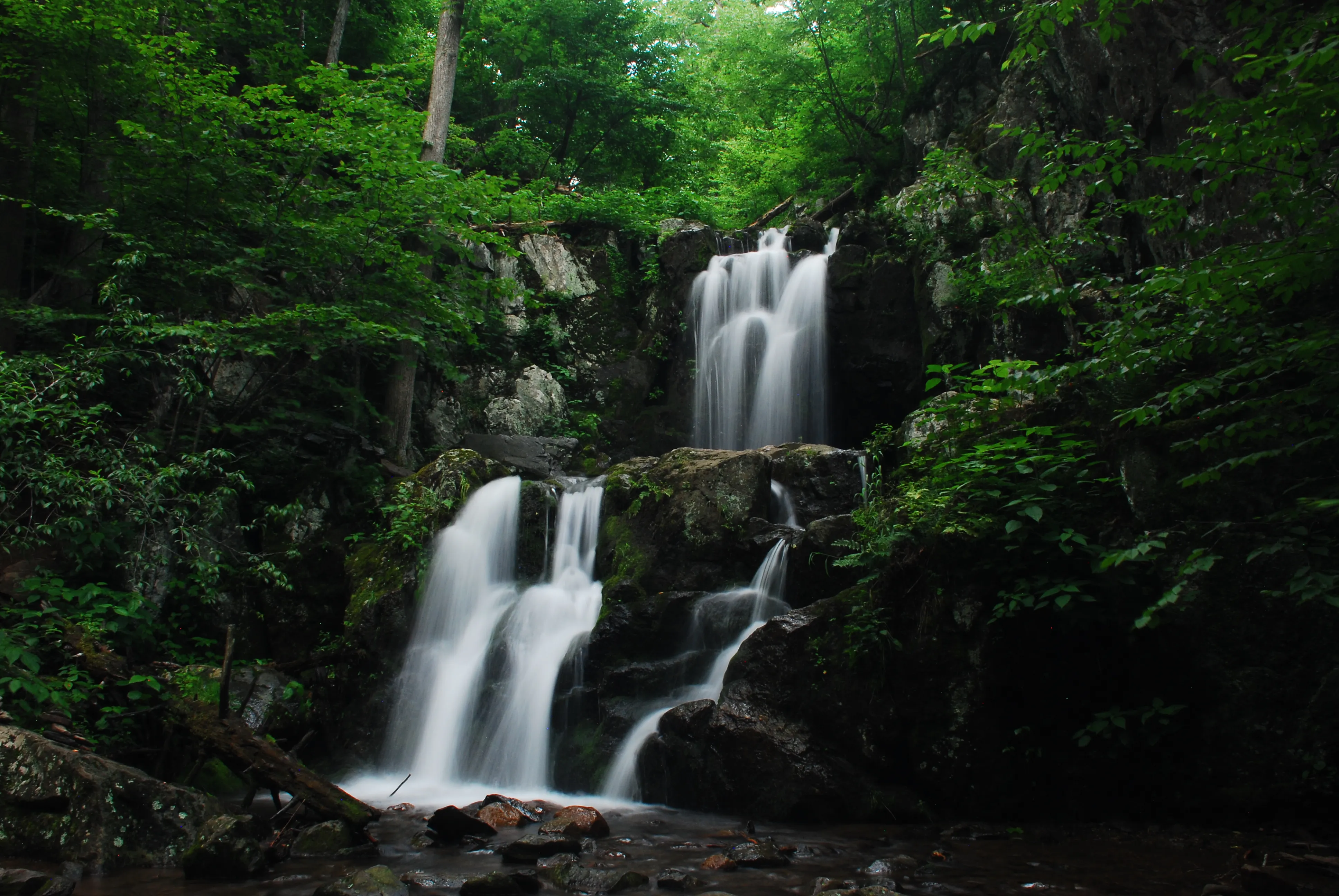 Doyles Falls 
