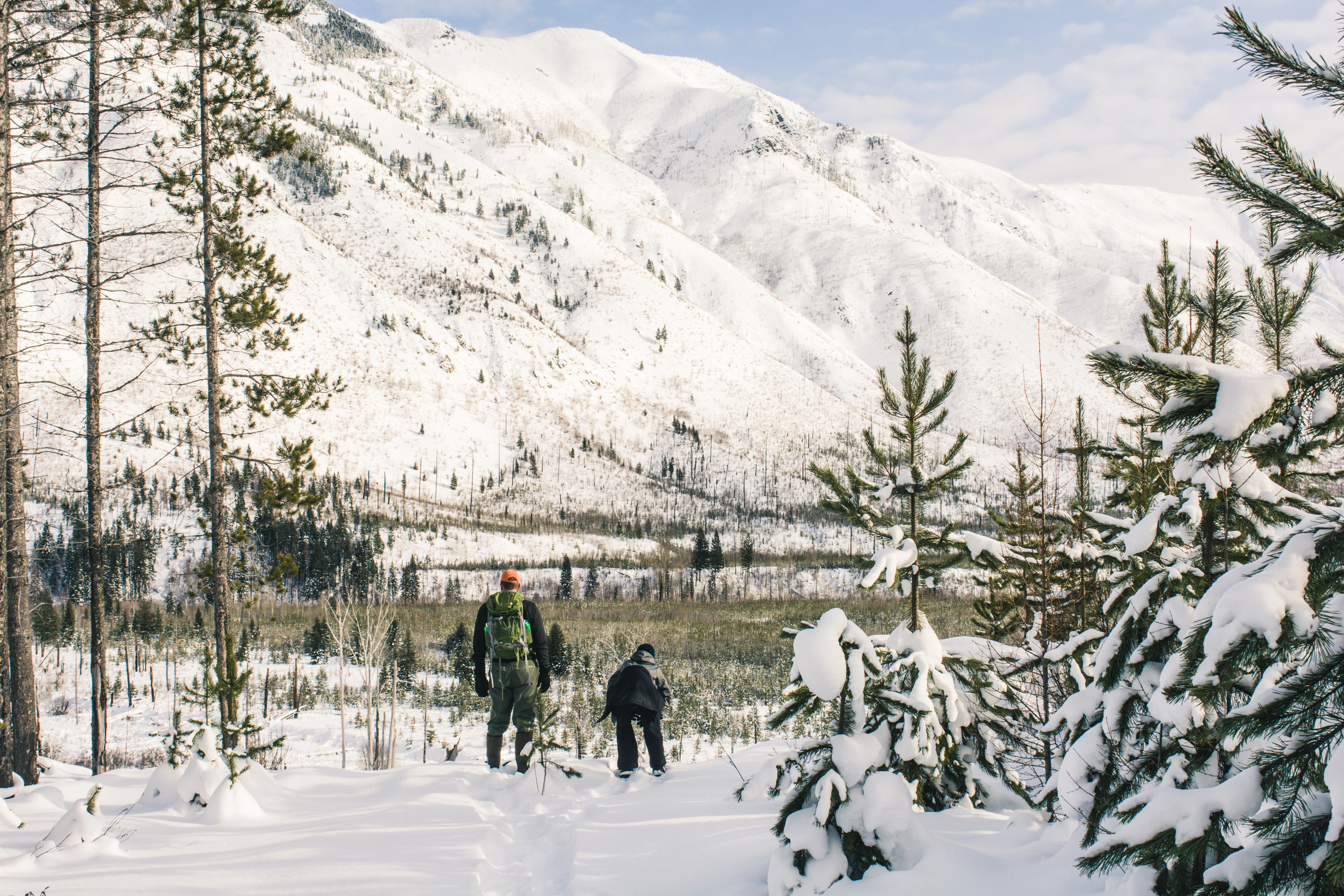 Snowshoe the North Fork Area of the Flathead River