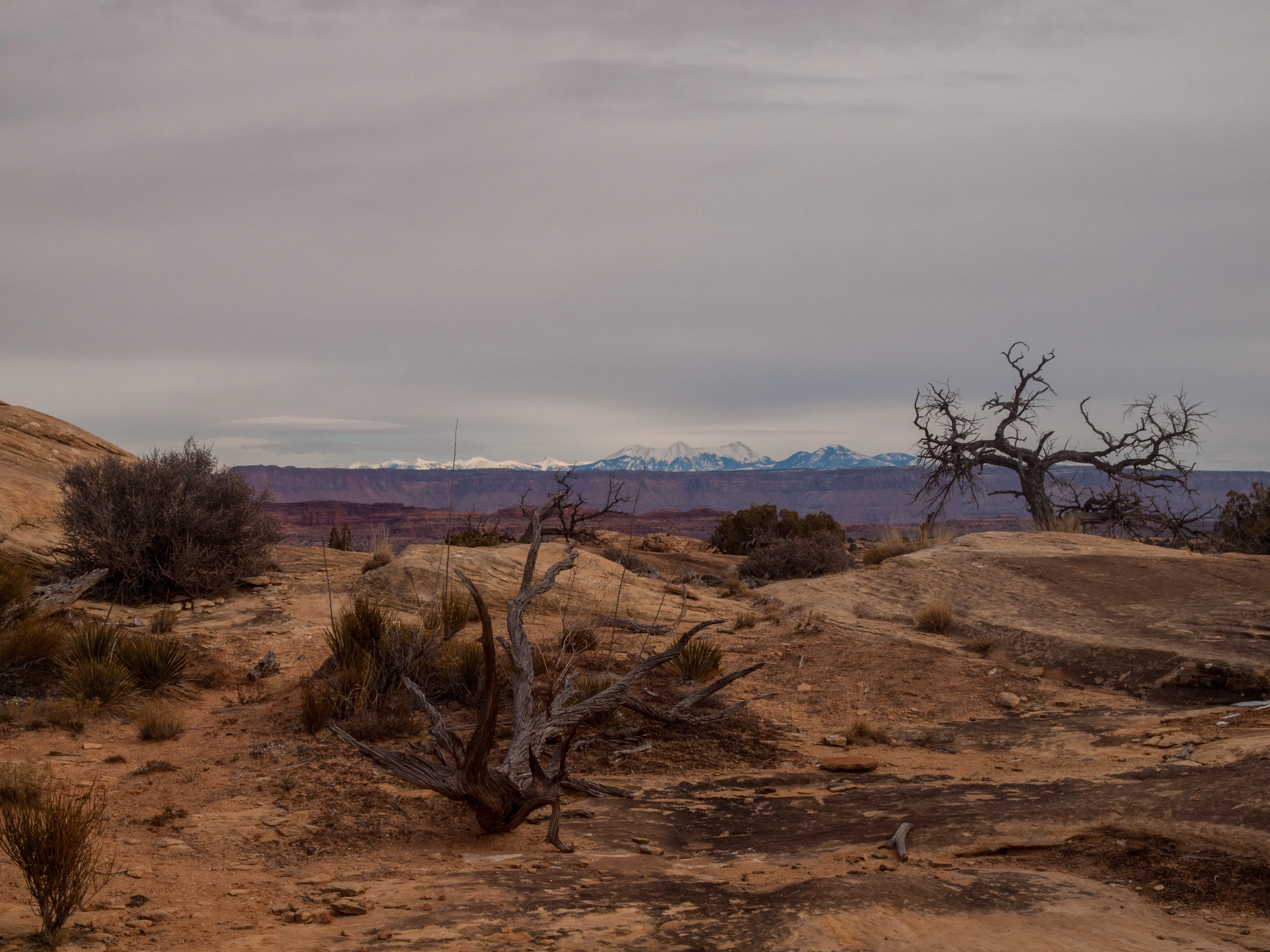 Slickrock Foot Trail