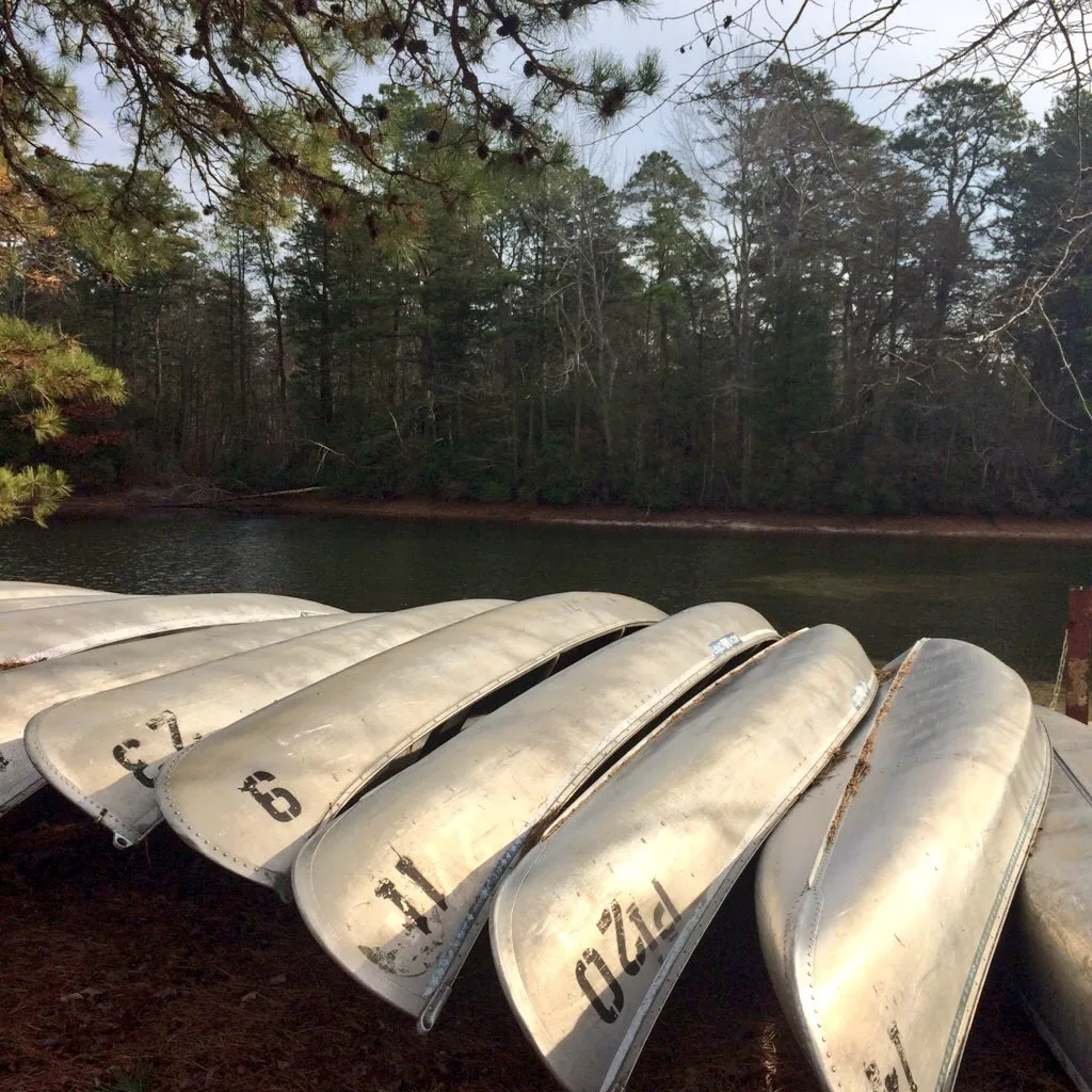 Camp at Belleplain State Forest 
