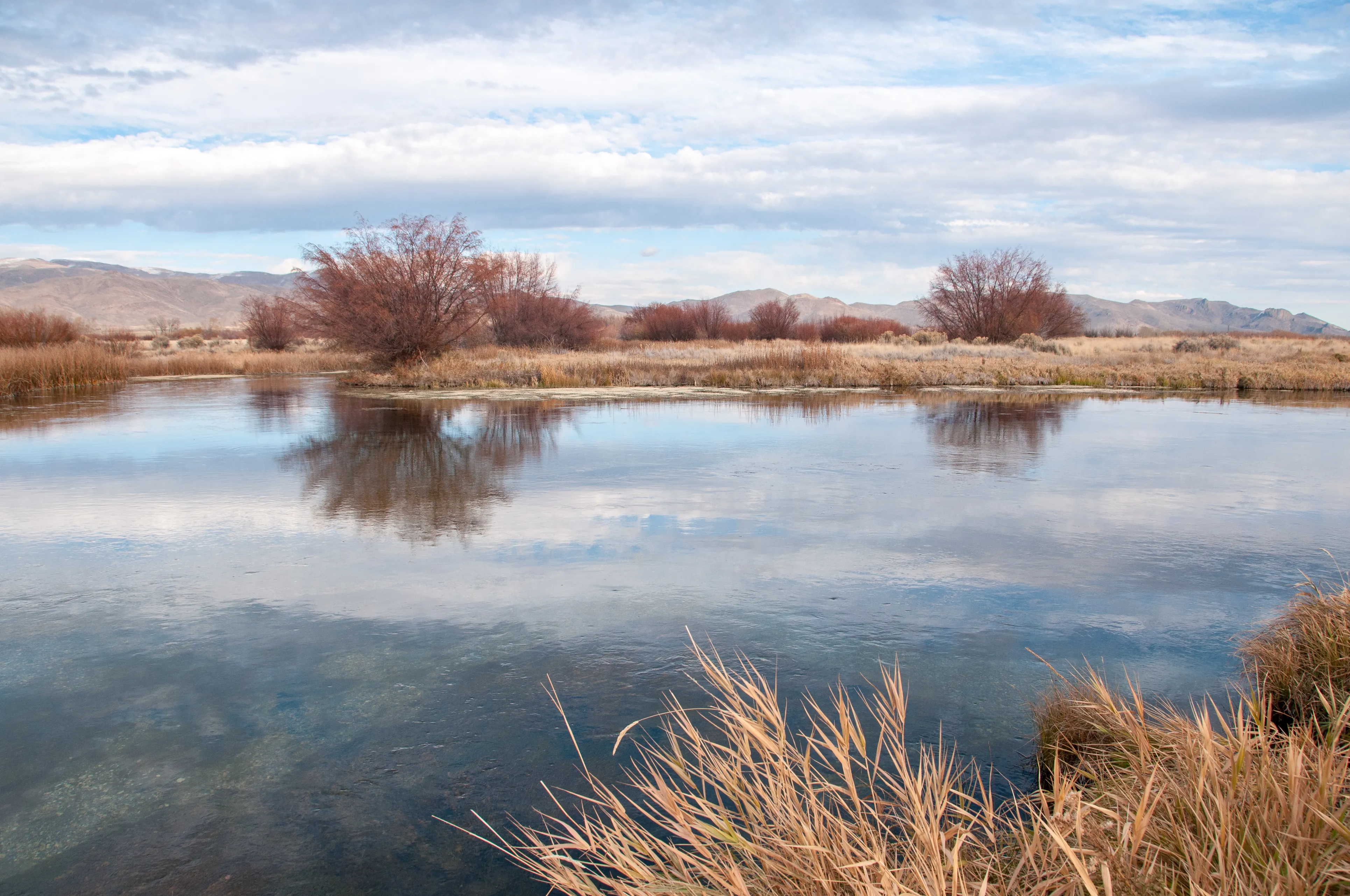 Hike Along Silver Creek