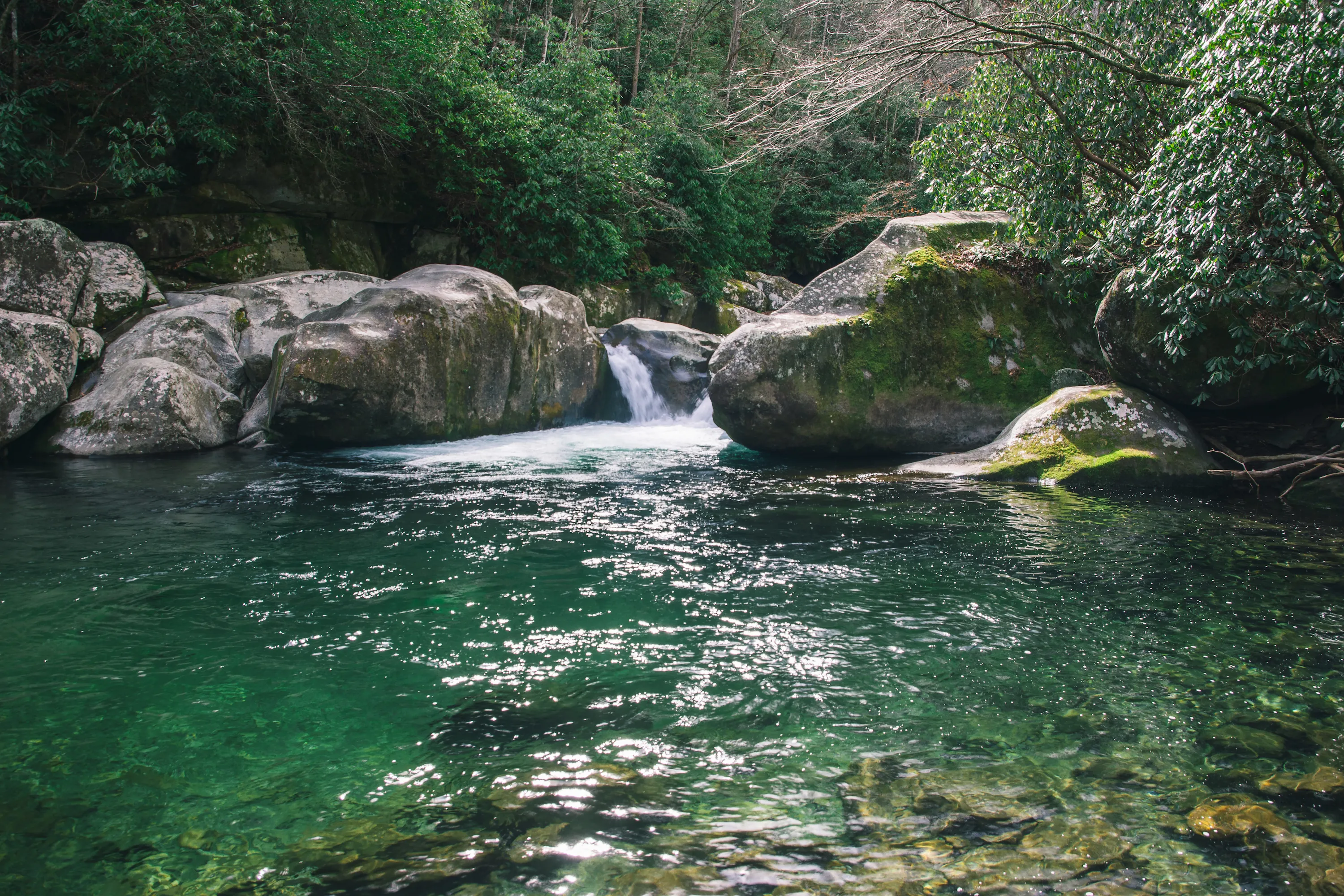 Mouse Creek Falls