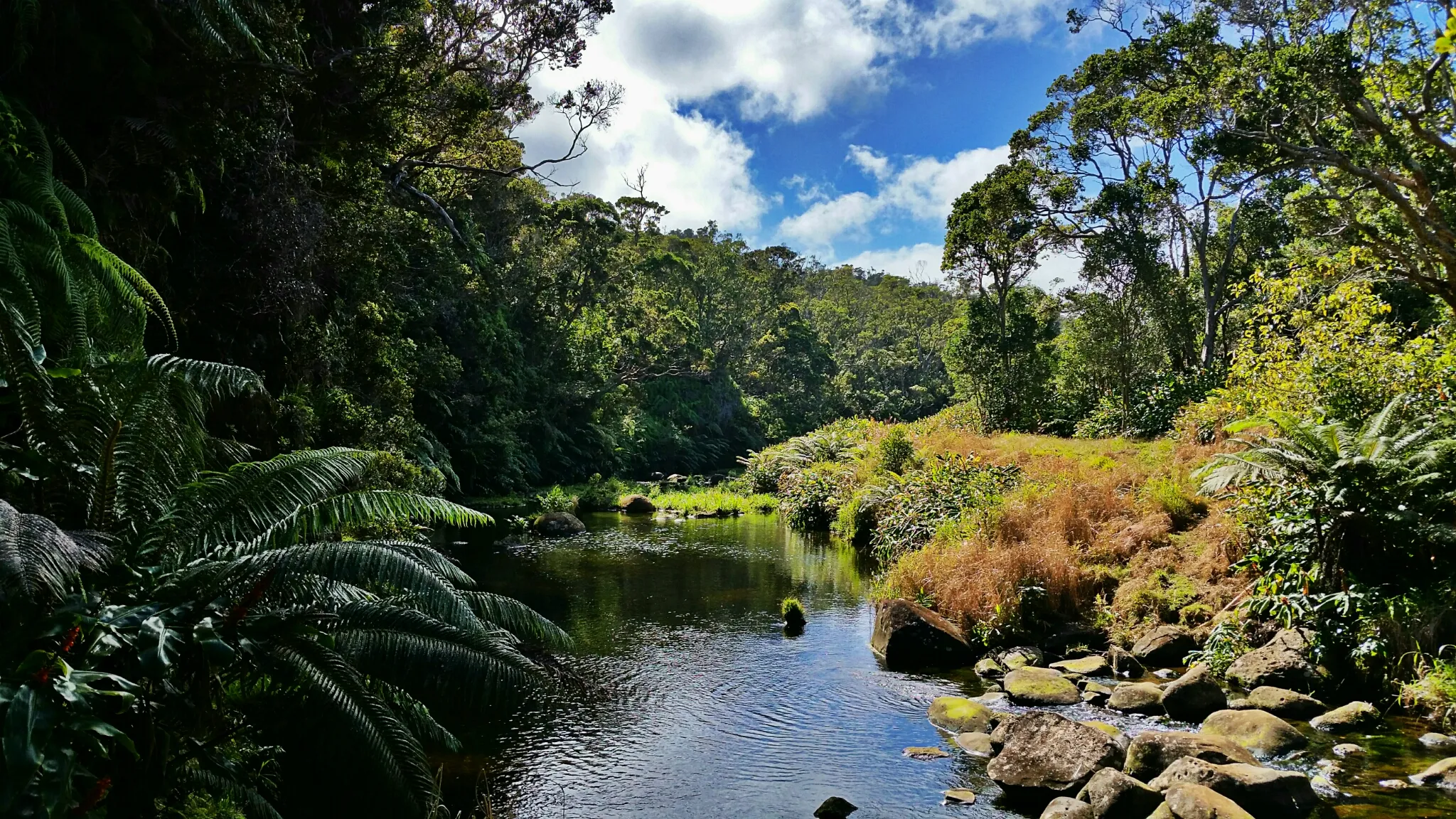 Hike Kawaikoi Stream