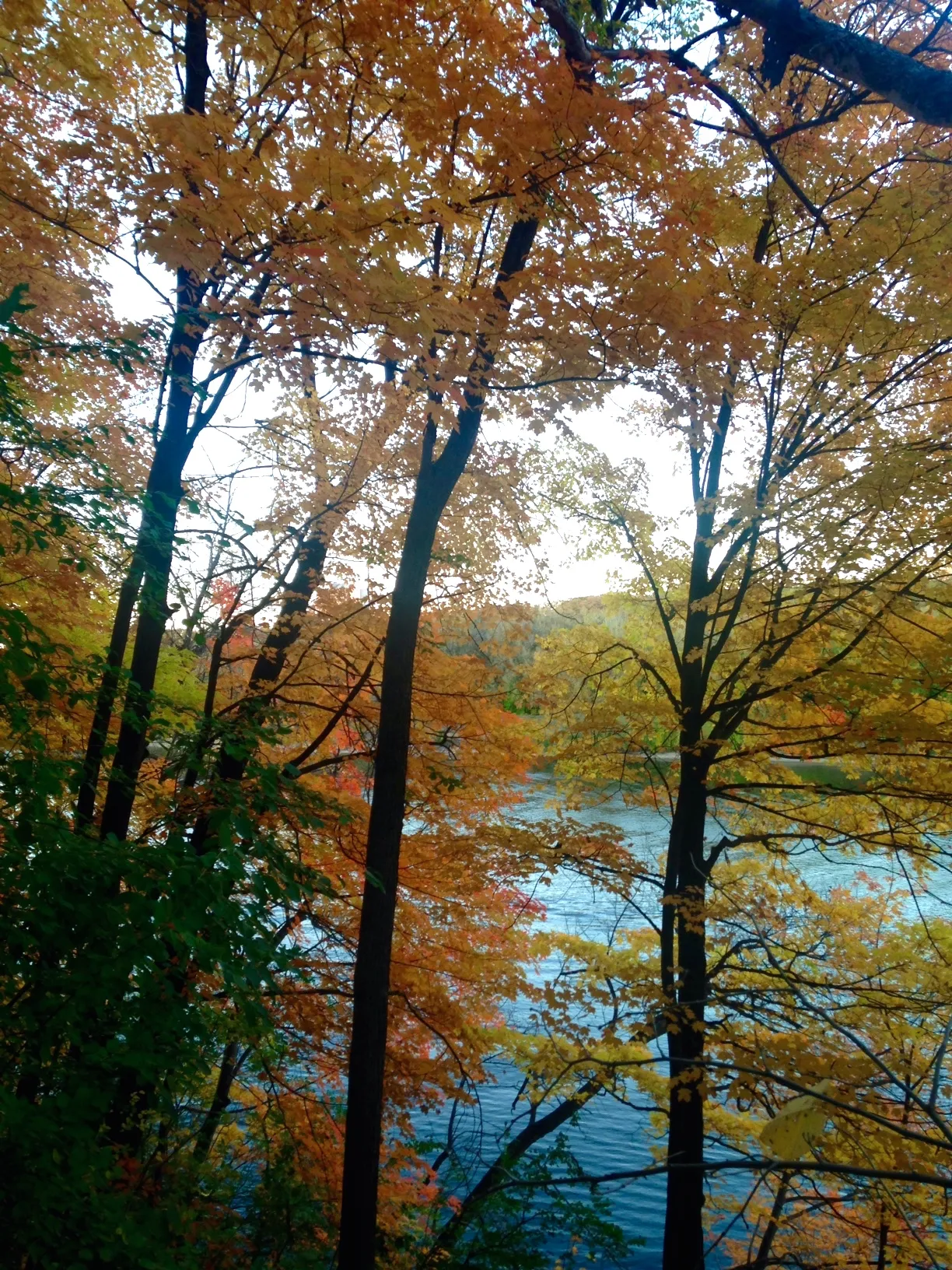 Hike the Winchell Trail 