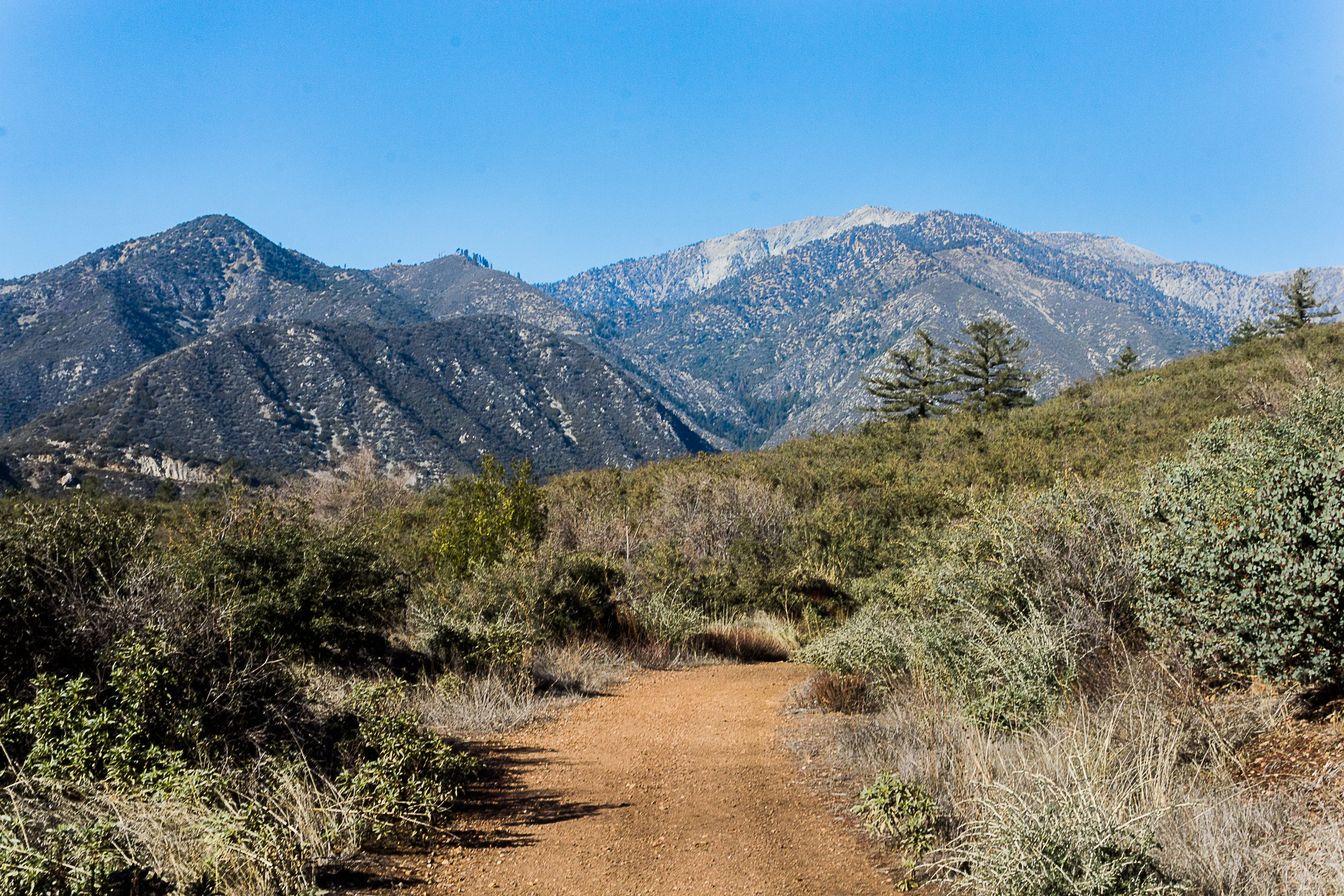 Stoddard Peak Trail