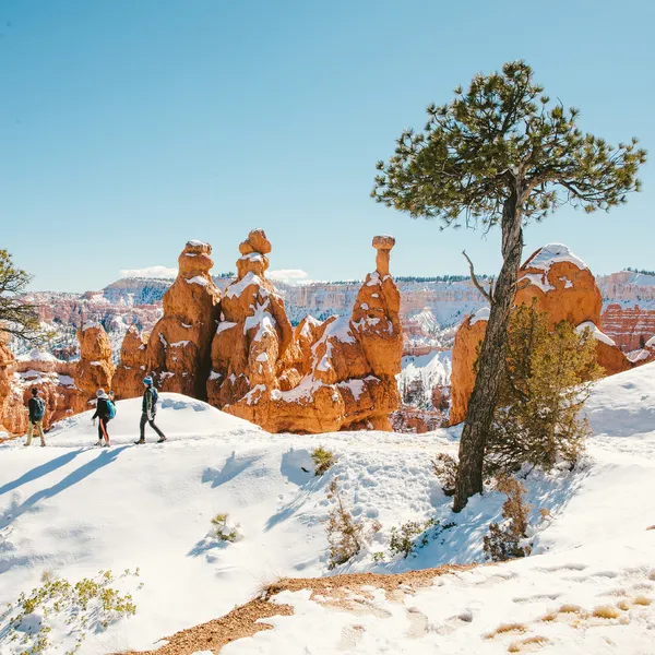 10 Must-Do Winter Adventures In Utah