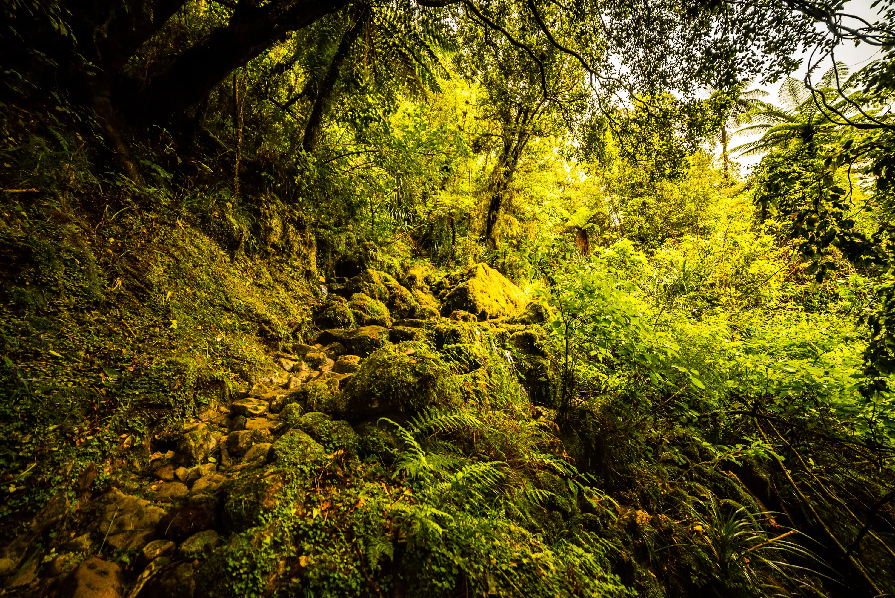 Hike to the Fox River Caves
