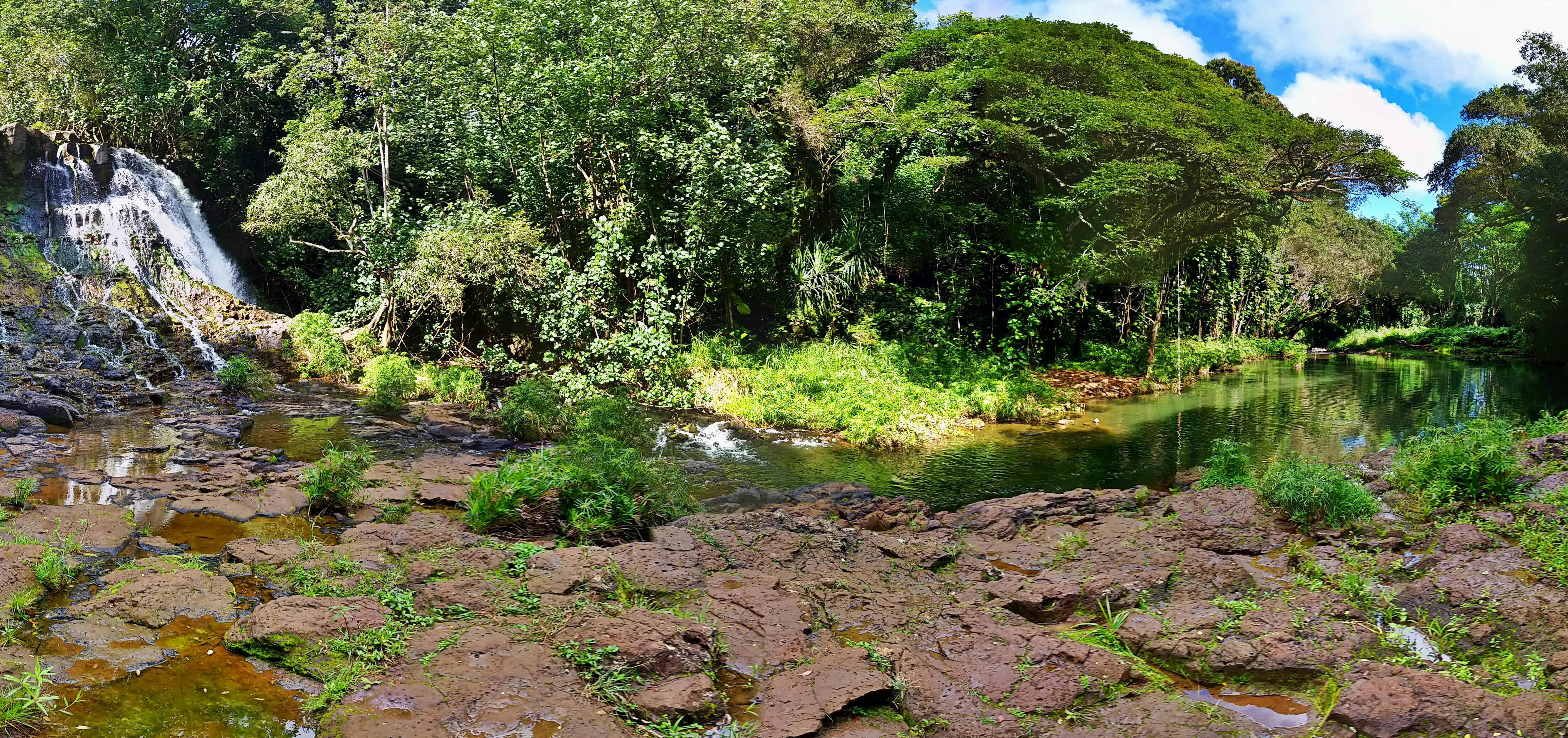 Hike to Ho'opi'i Falls 
