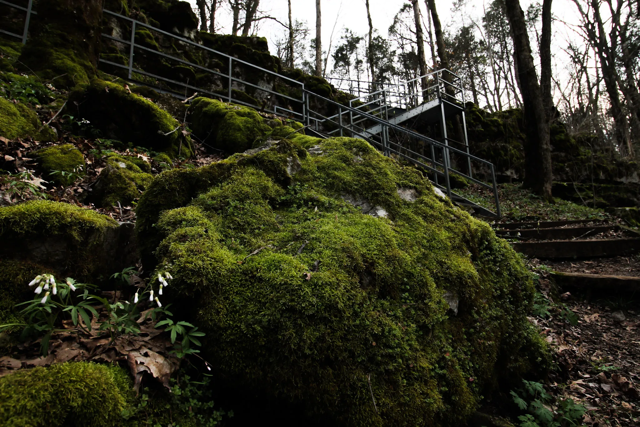 Cedar Sink Trail