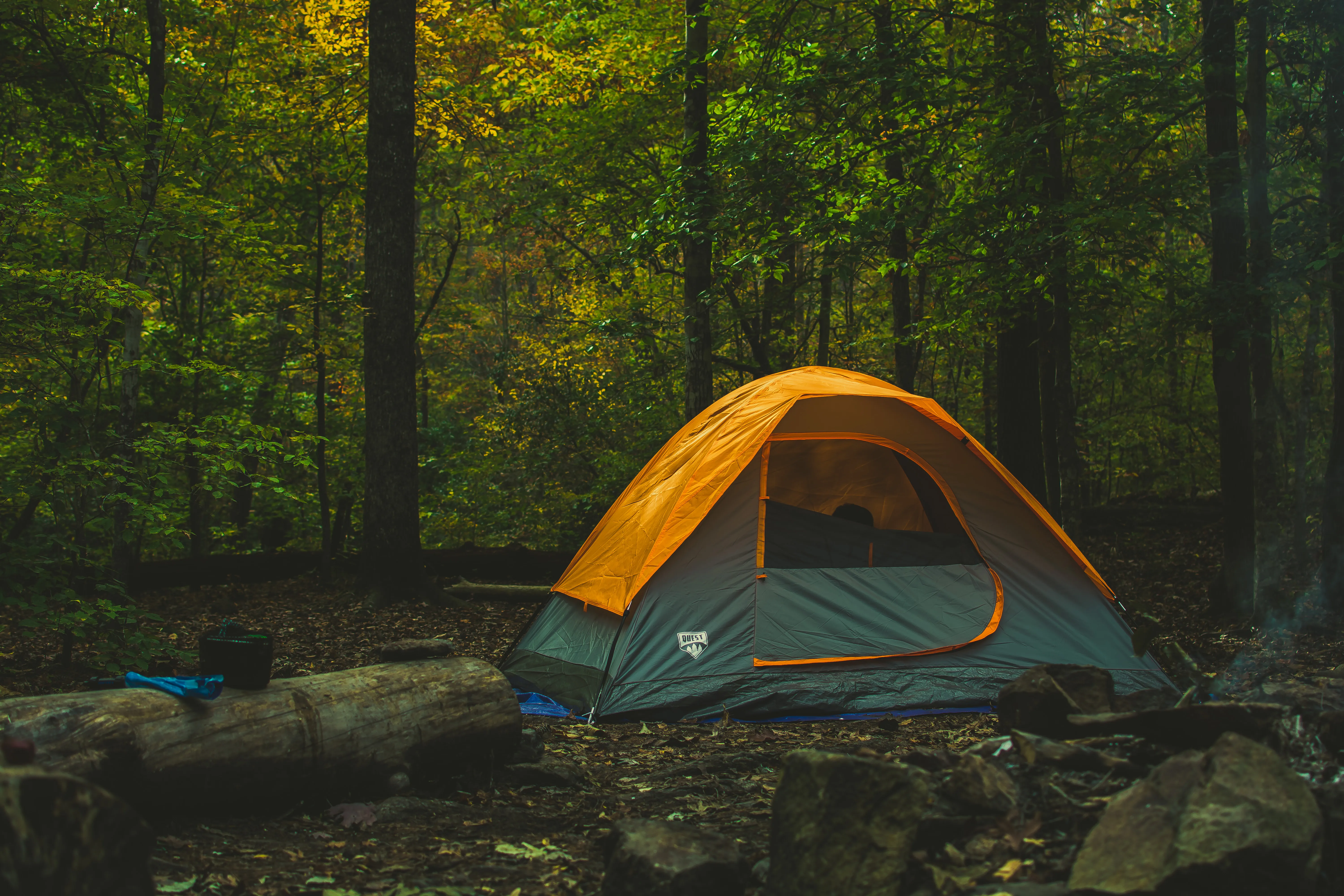 Dutchman's Creek Trail, Uwharrie NF