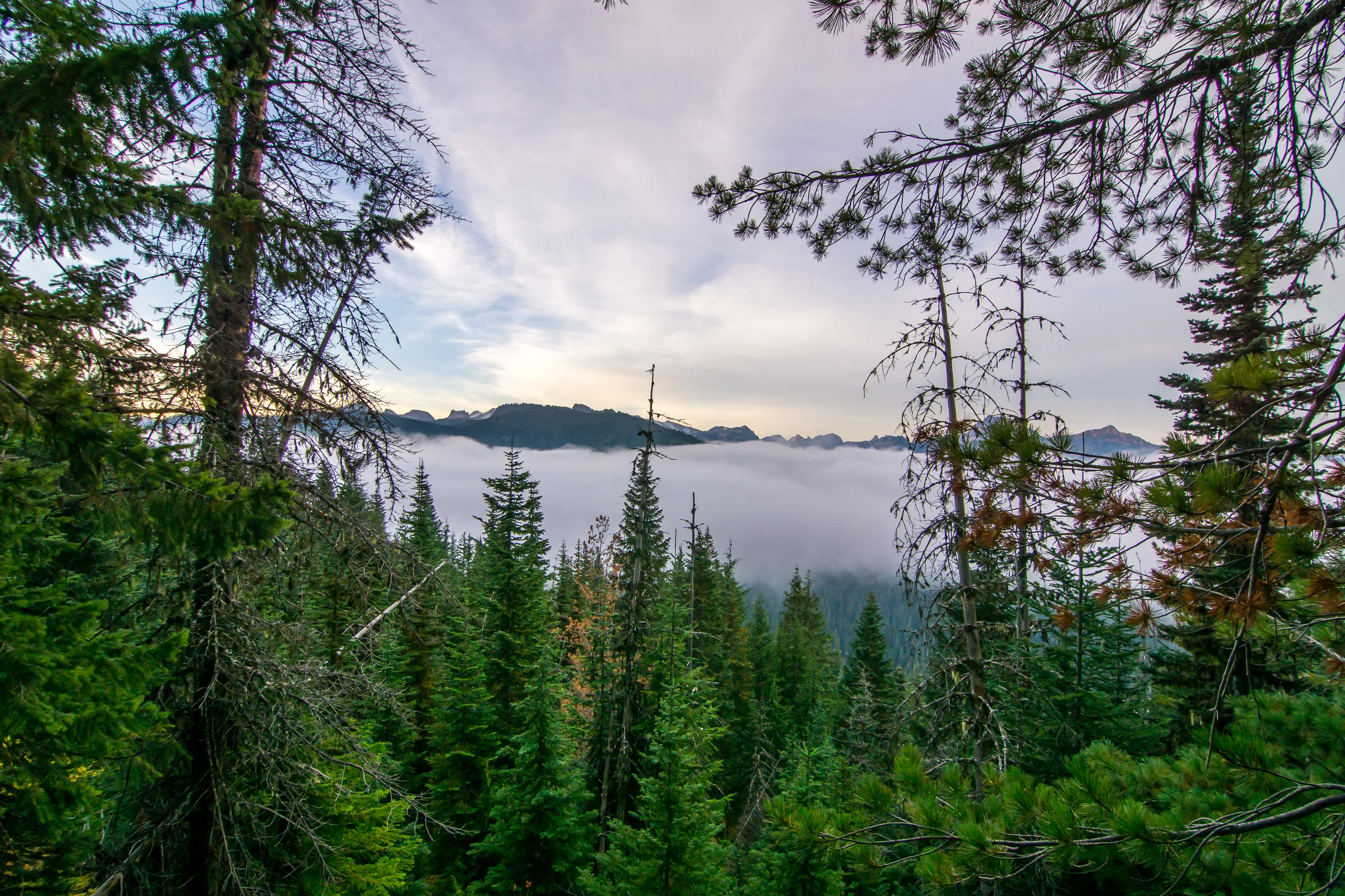 Hike Mount Sawyer