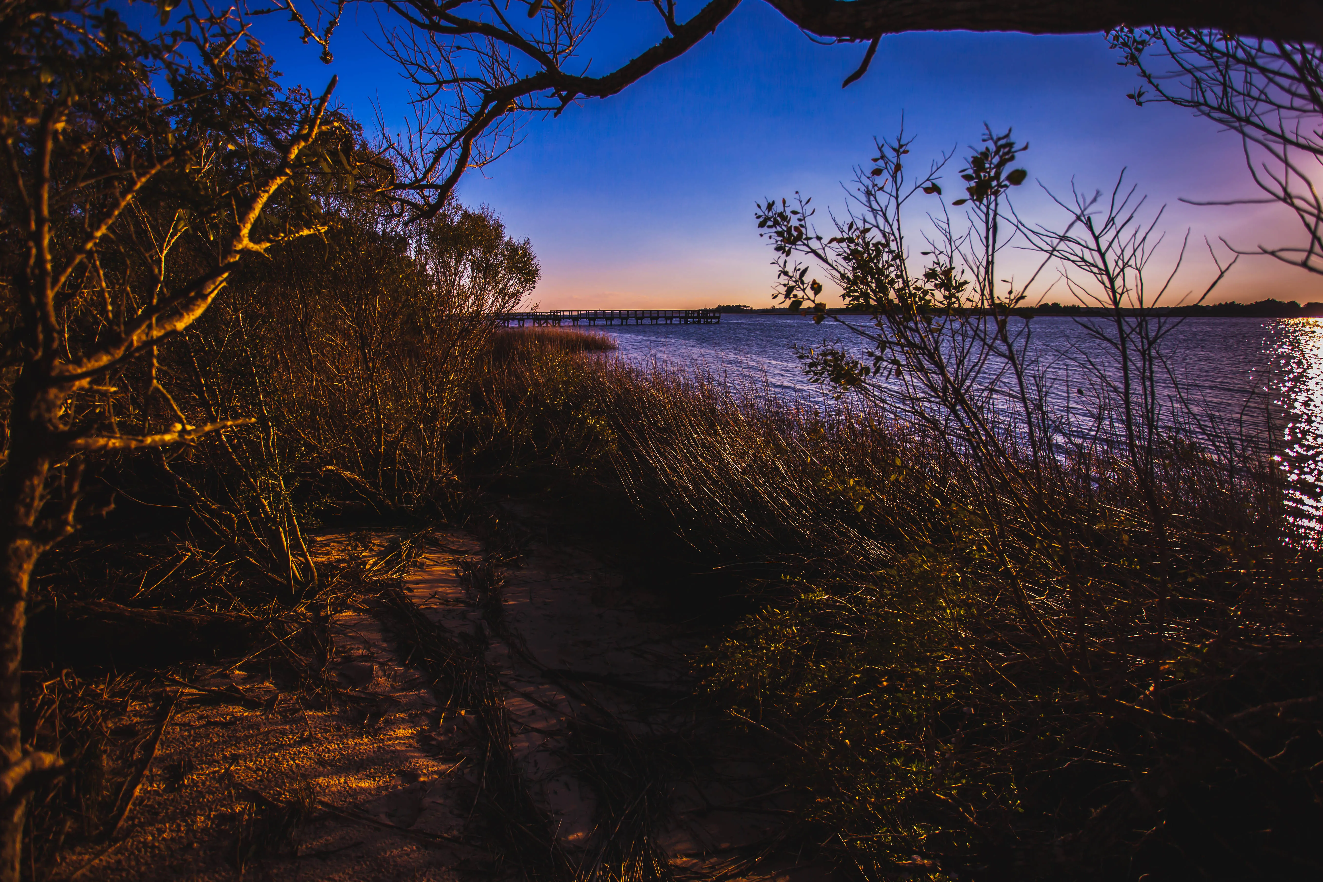Explore River Road Park