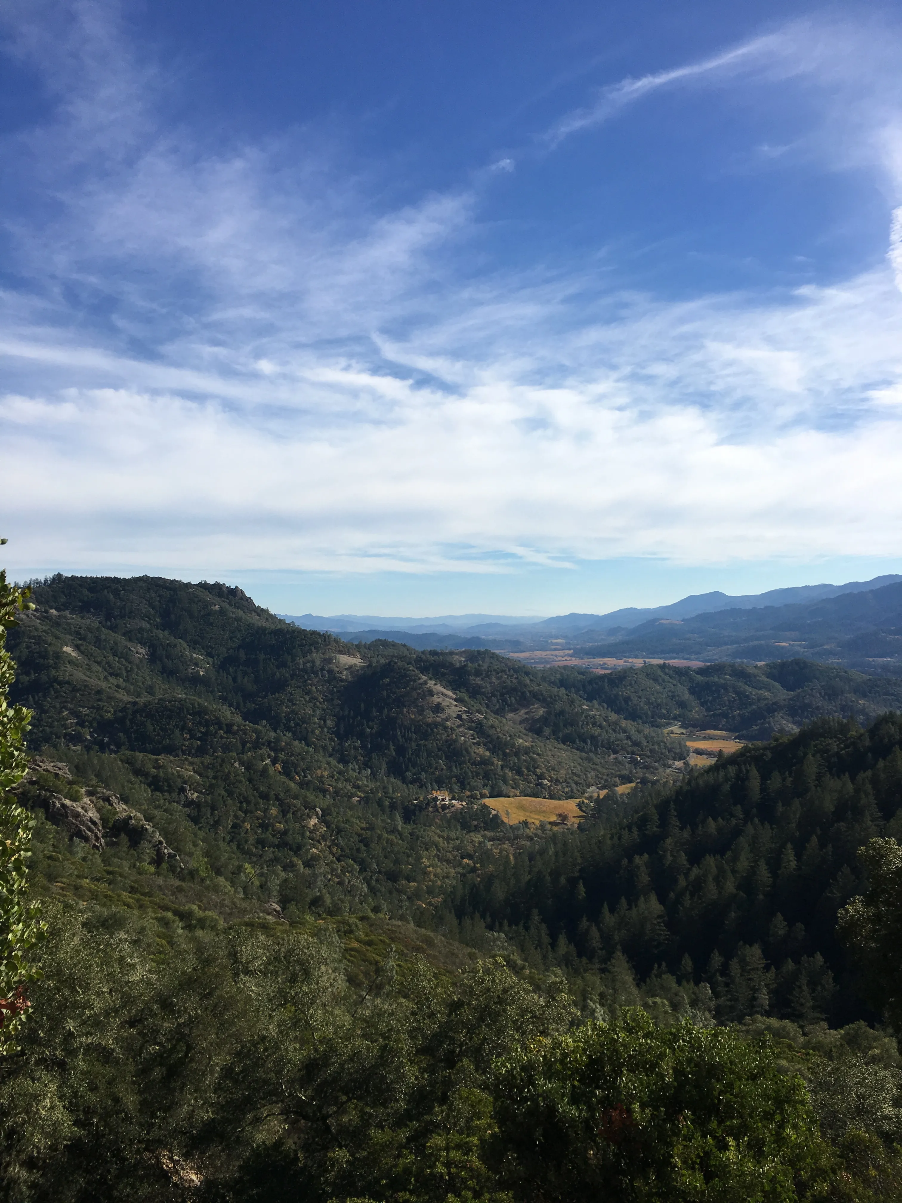 Hike the Oat Hill Mine Trail